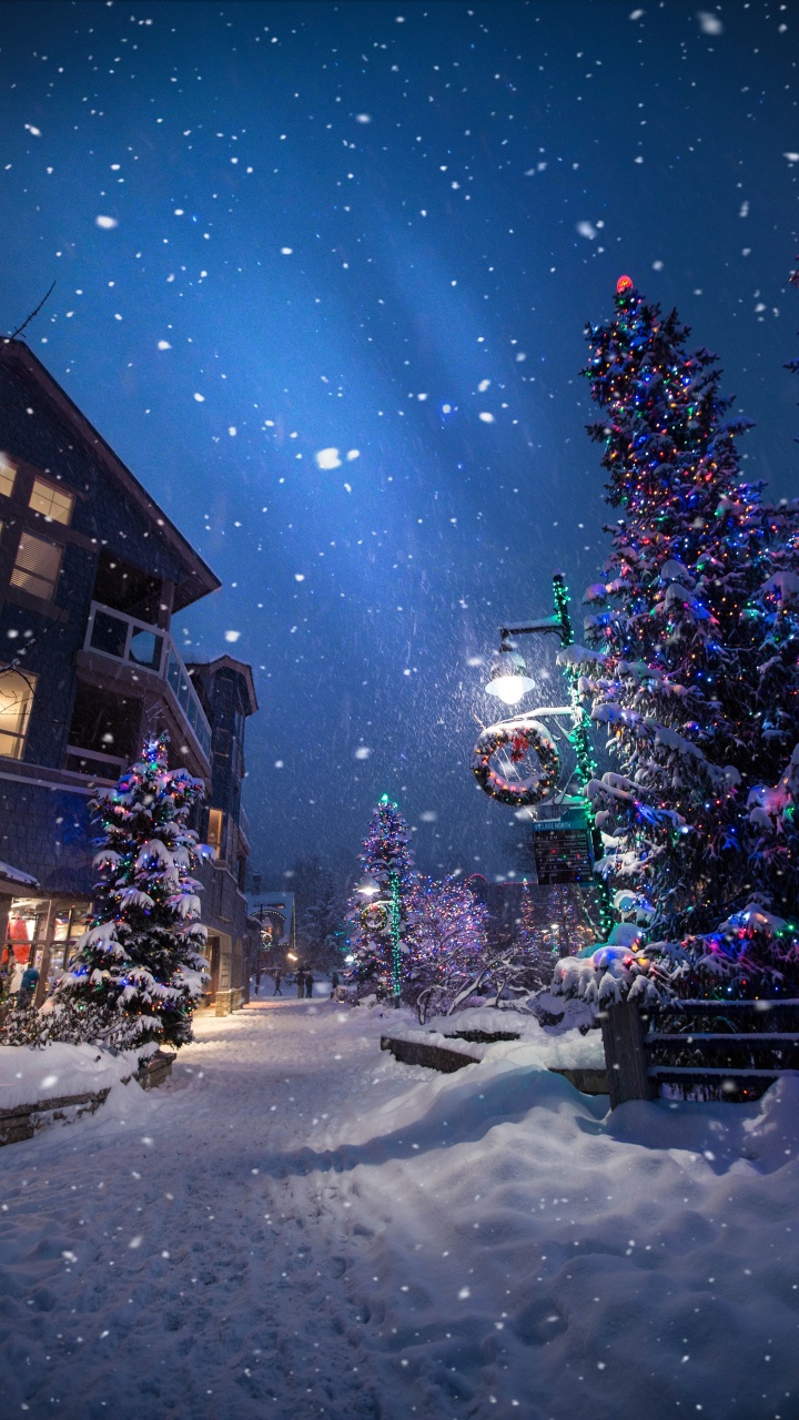 Обои Рождественский день, елка, зима, снег, ночь в разрешении 720x1280