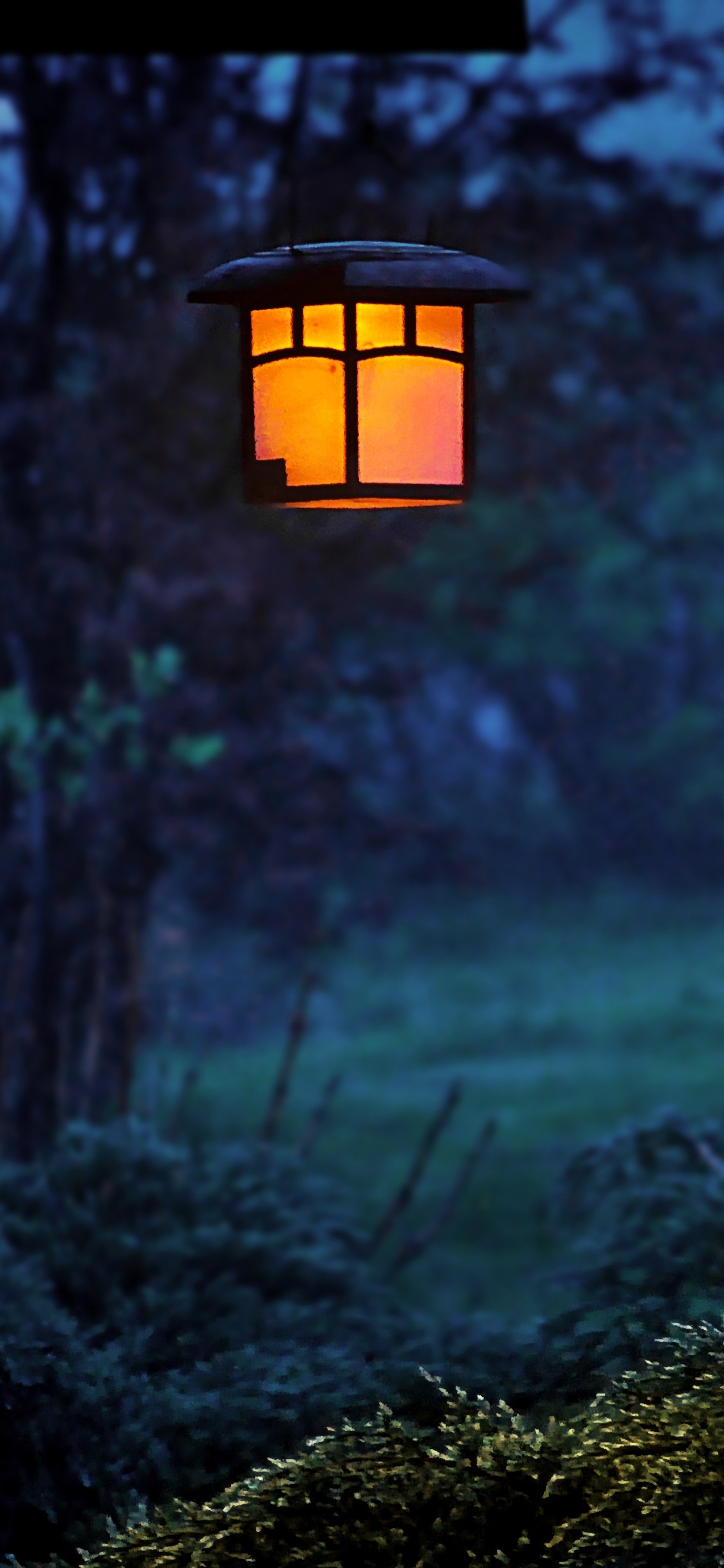 Обои природа, Ночной Замок-В, зеленый, Коран, ночь в разрешении 1125x2436