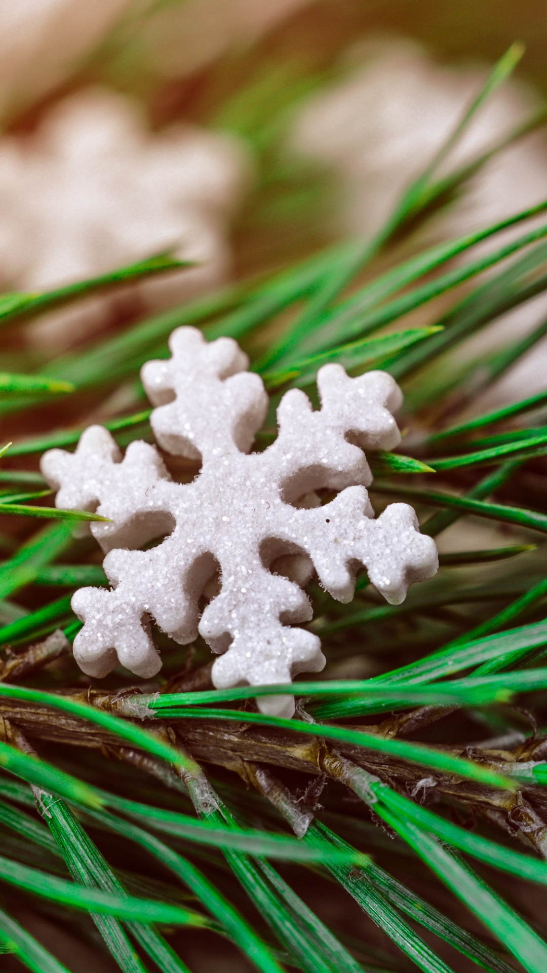 Обои Рождественский день, растение, дерево, вечнозеленое растение, сосна в разрешении 1080x1920