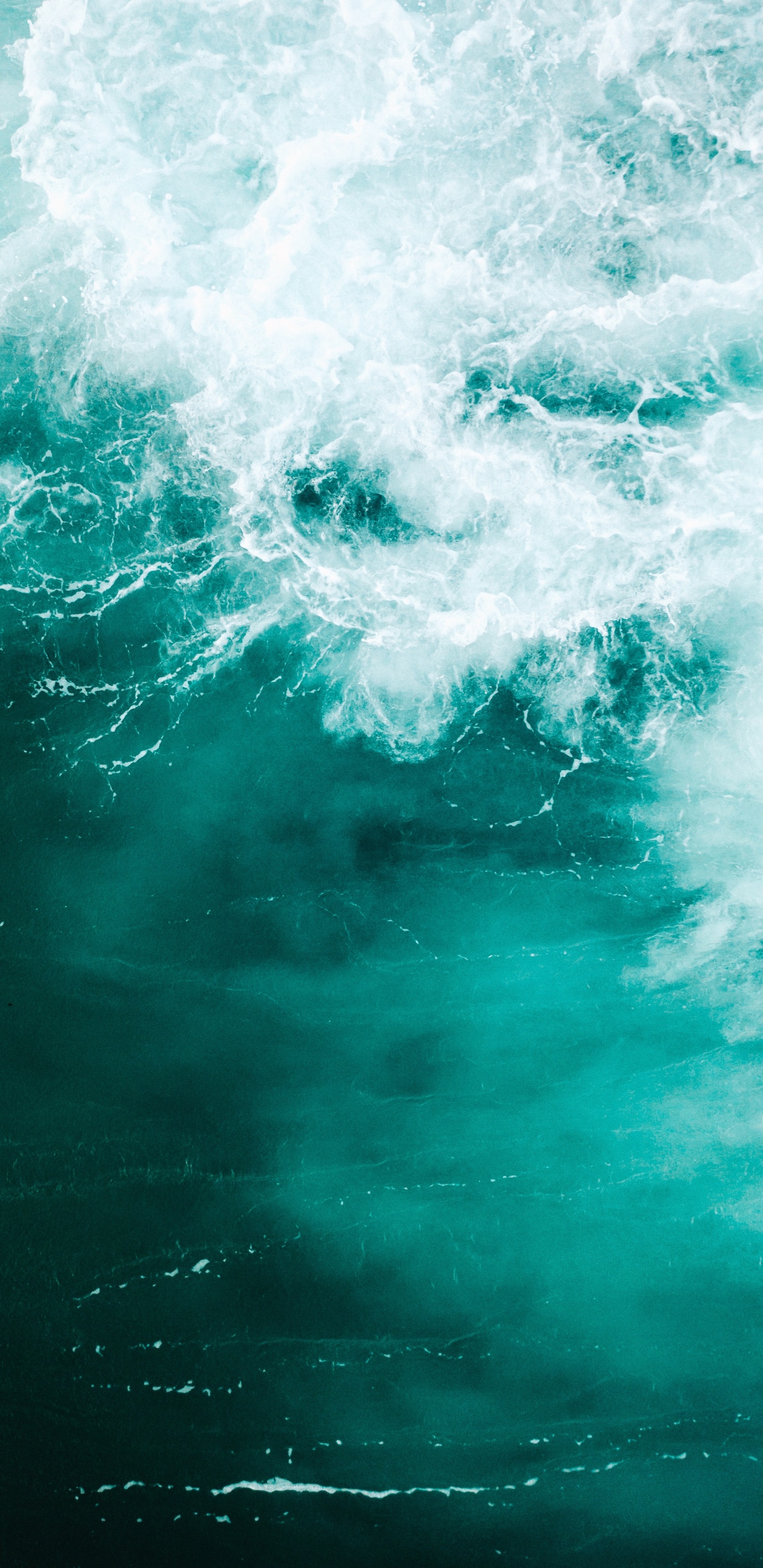 Обои море, синий, вода, волна, зеленый в разрешении 1440x2960