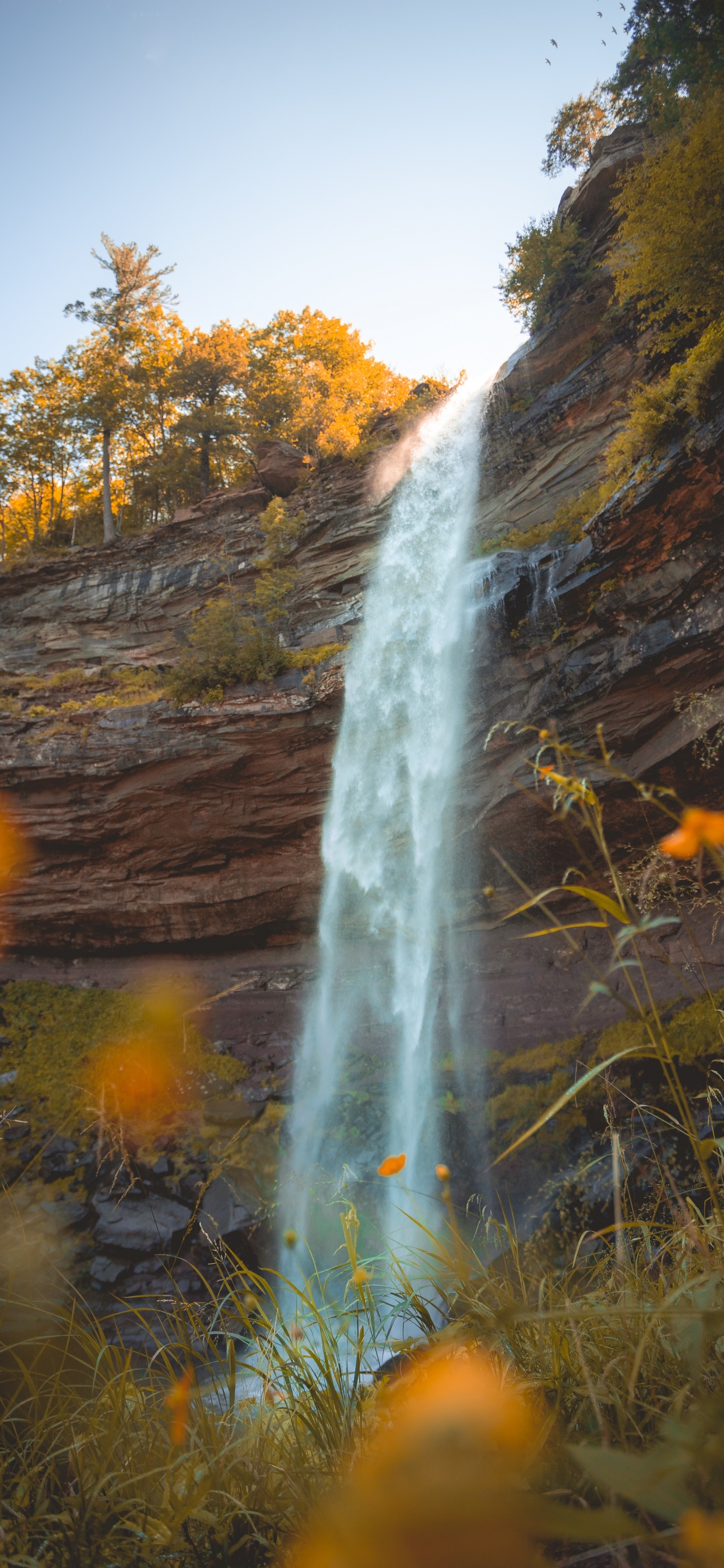 Обои реки, вода, природный заповедник, гидроресурсы, пейзаж в разрешении 1242x2688