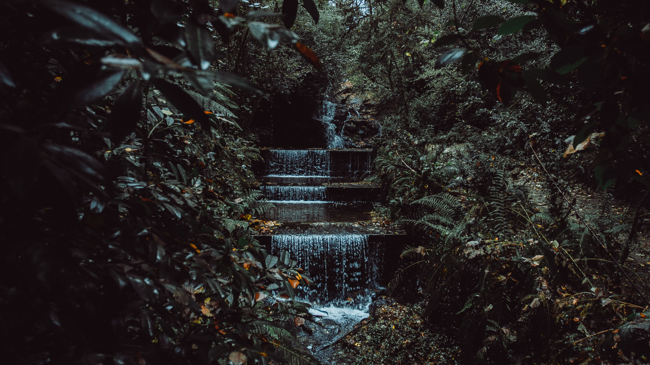 Обои окружающая среда, черный, лист, природа, ночь в разрешении 1280x720