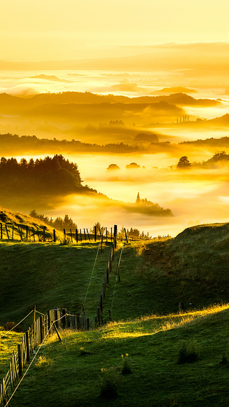 Обои восход солнца, закат, природа, холм, утро в разрешении 750x1334