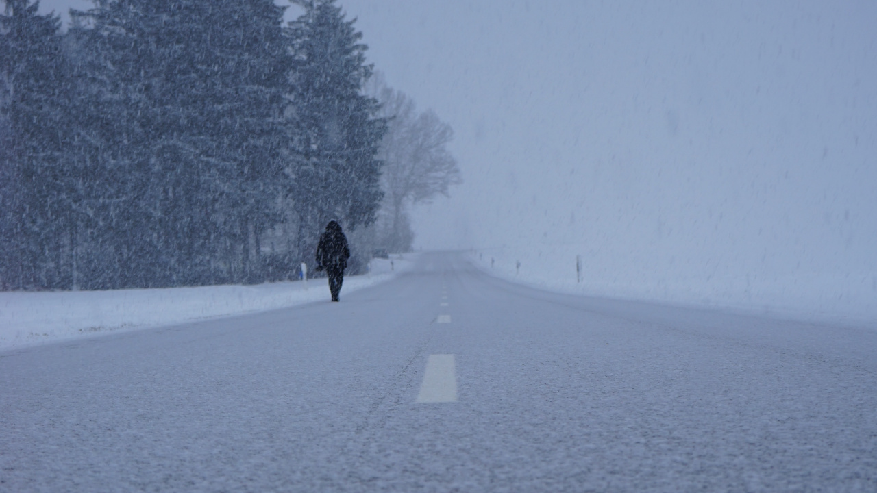 Обои снег, зима, замораживание, дерево, дымка в разрешении 1280x720