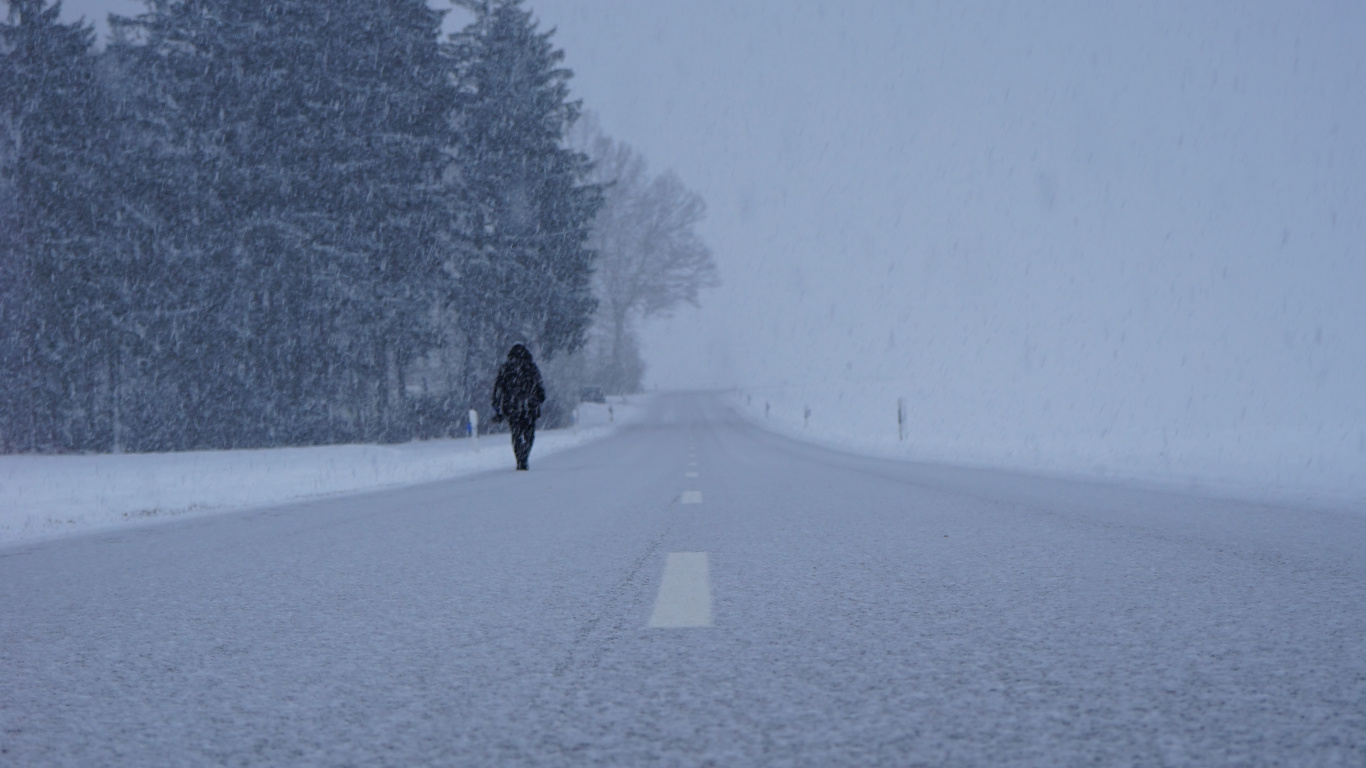 Обои снег, зима, замораживание, дерево, дымка в разрешении 1366x768