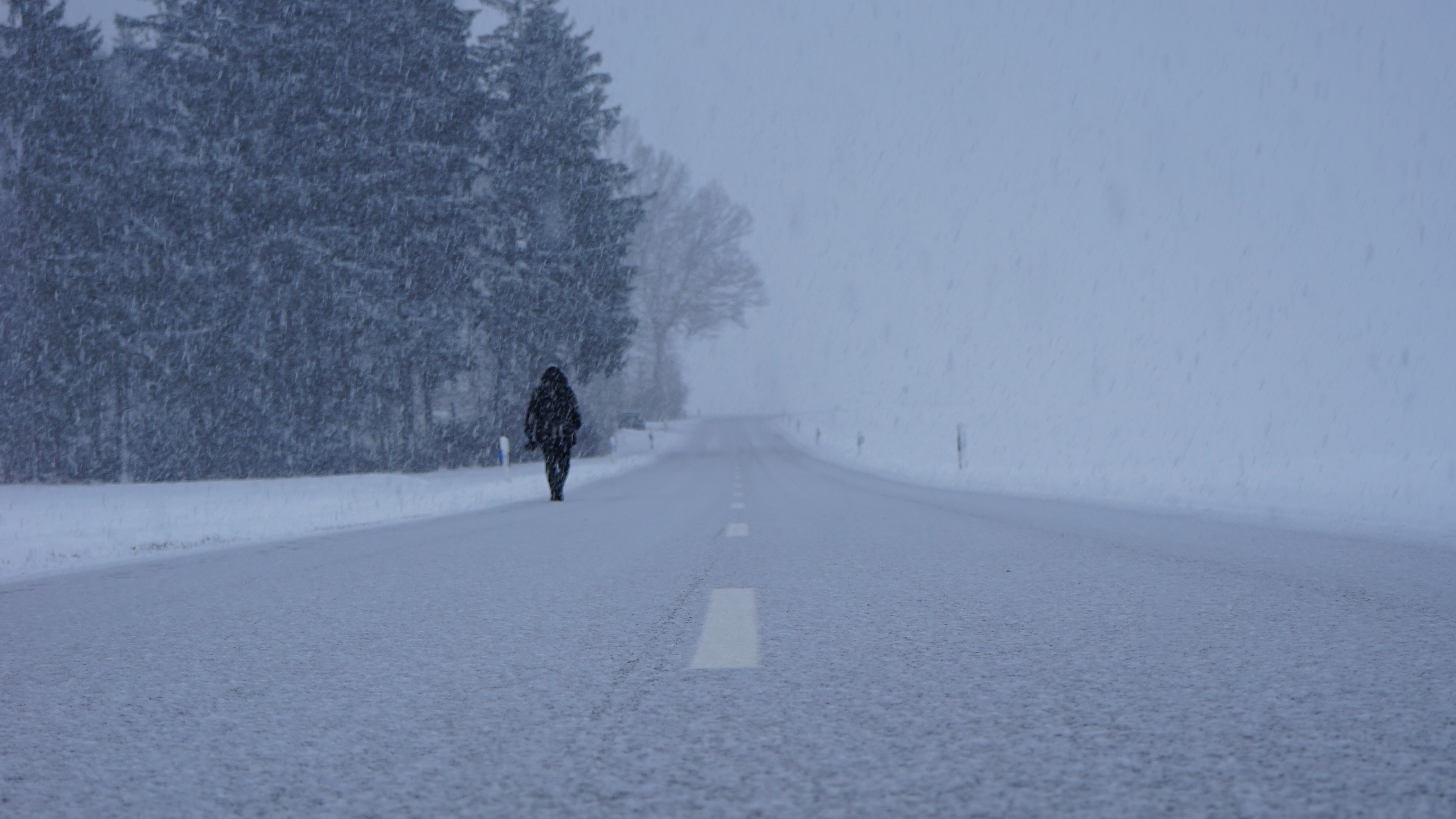 Обои снег, зима, замораживание, дерево, дымка в разрешении 3840x2160