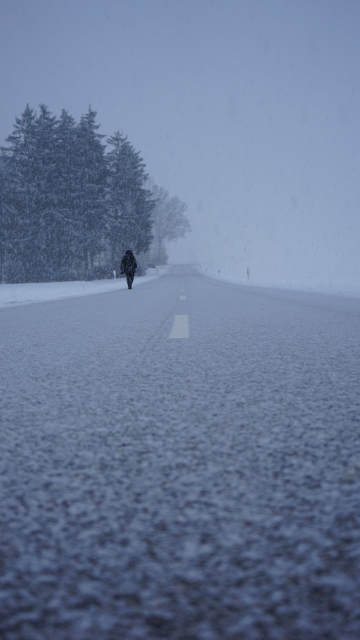 Обои снег, зима, замораживание, дерево, дымка в разрешении 720x1280