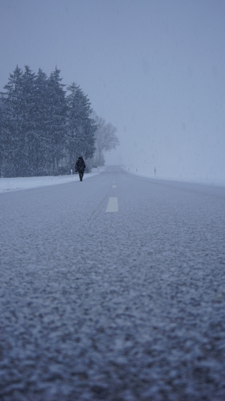 Обои снег, зима, замораживание, дерево, дымка в разрешении 750x1334
