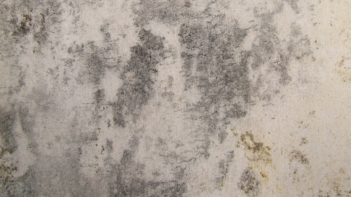 Обои стена, бетон, текст, песня, мелодия в разрешении 1366x768