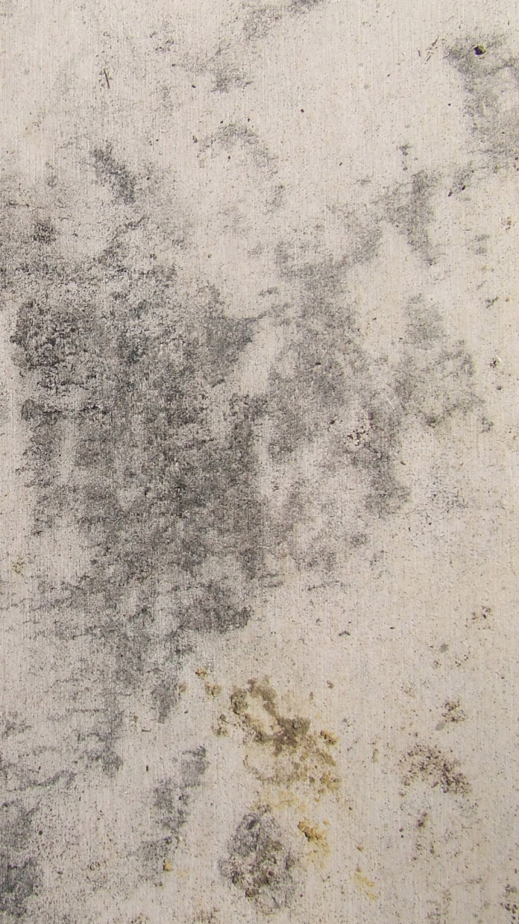 Обои стена, бетон, текст, песня, мелодия в разрешении 750x1334