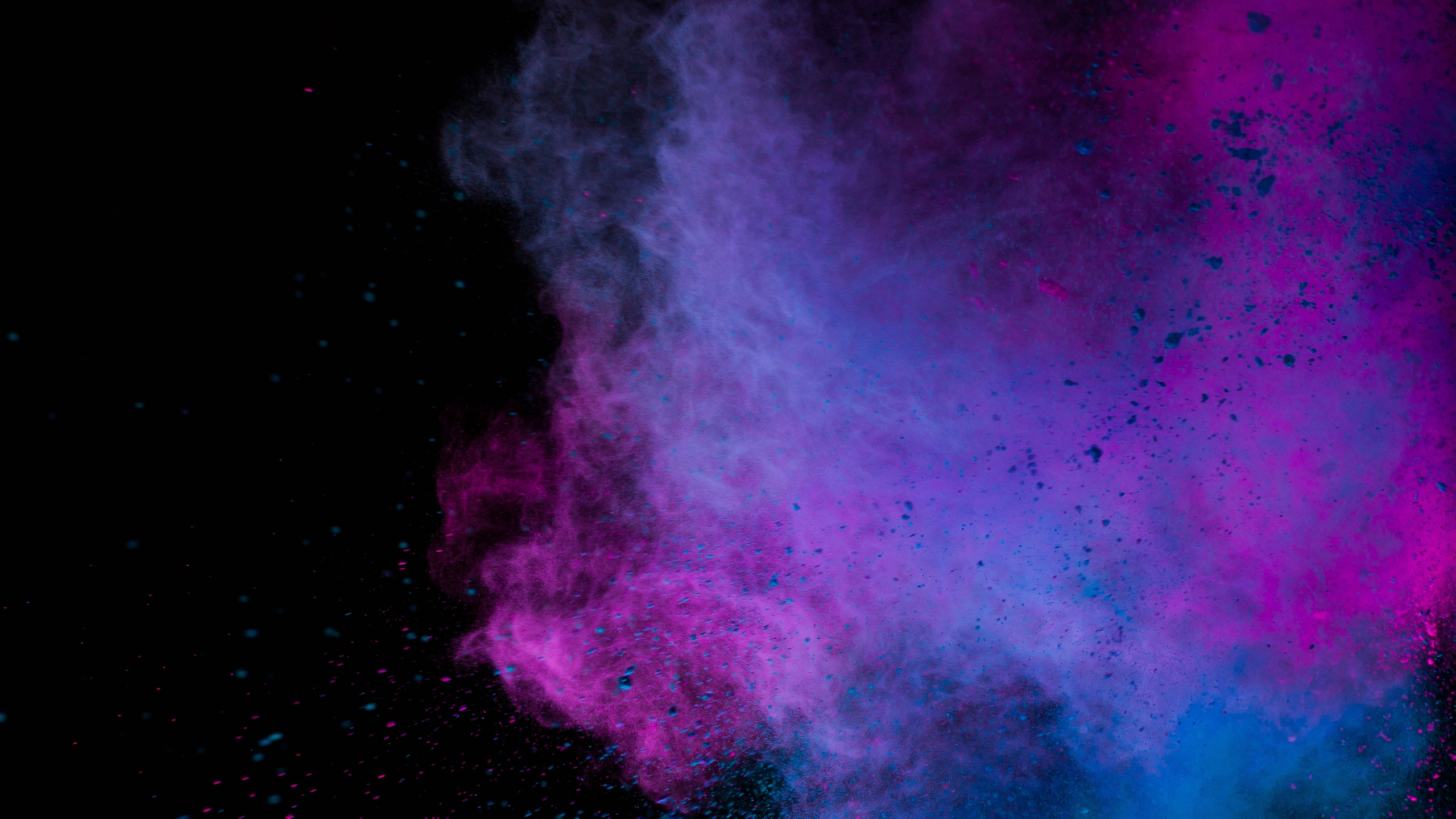 Обои черный, розовый, пурпур, синий, красный цвет в разрешении 2560x1440