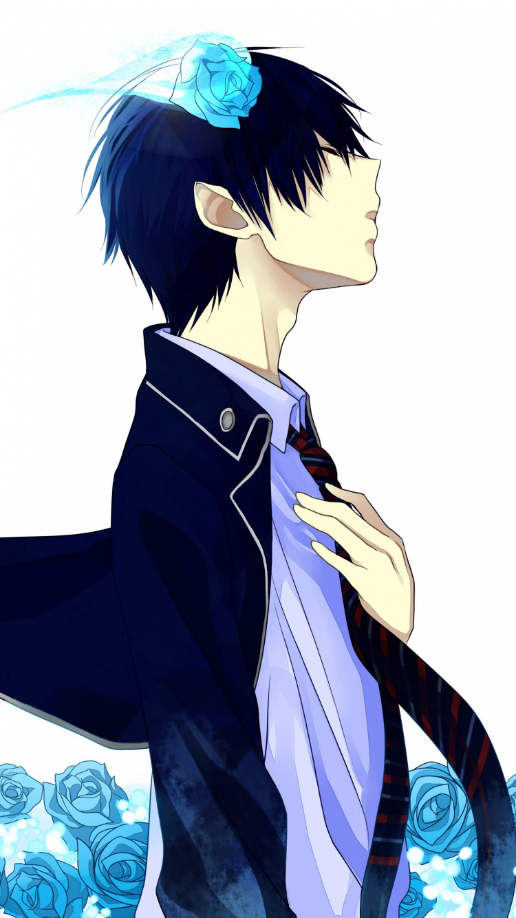 Обои Рин окумура, синий экзорцист, аниме, иллюстрация, фильм в разрешении 750x1334