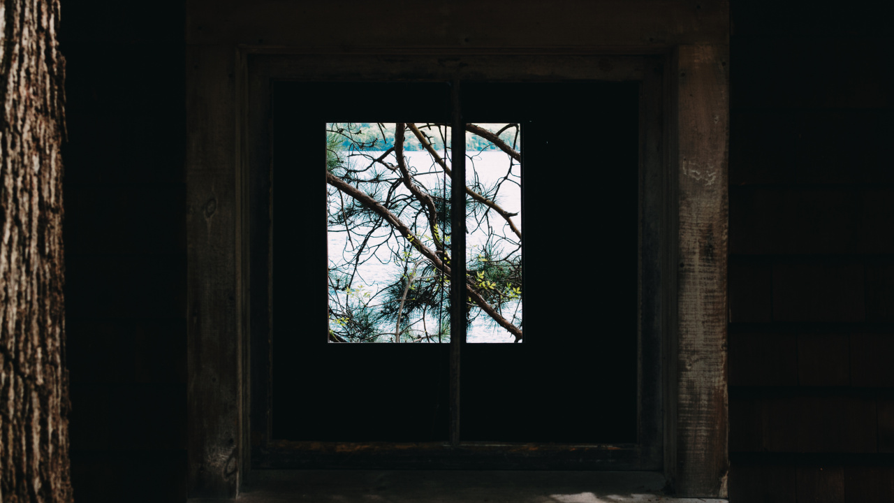 Обои окно, ветвь, древесина, дерево, стена в разрешении 1280x720