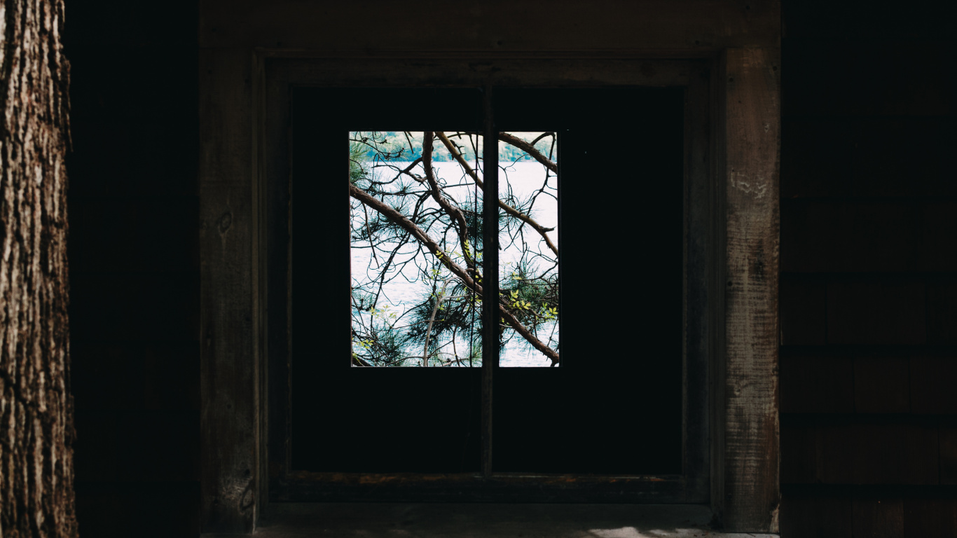 Обои окно, ветвь, древесина, дерево, стена в разрешении 1366x768