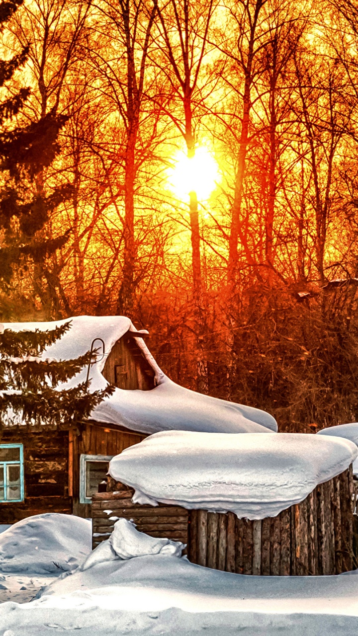 Обои снег, бревенчатый домик, зима, природа, дерево в разрешении 720x1280