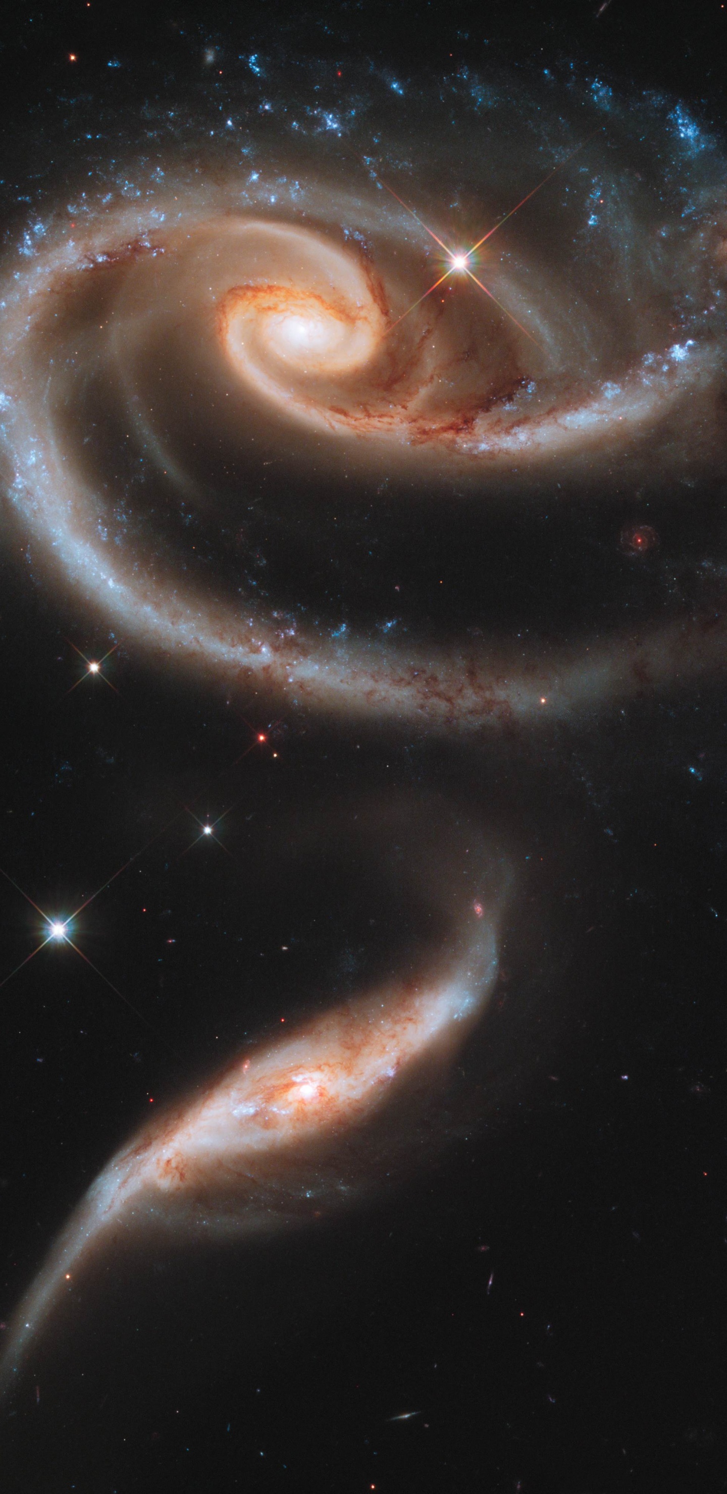 Обои звезда, астрономический объект, пространство, атмосфера, космический телескоп Хаббл в разрешении 1440x2960