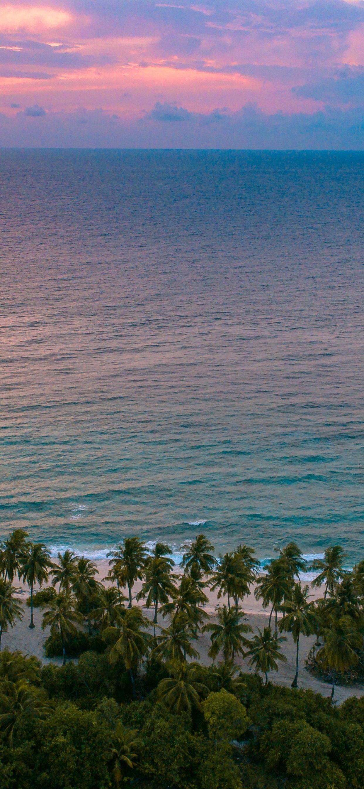 Обои море, берег, побережье, облако, вода в разрешении 1242x2688