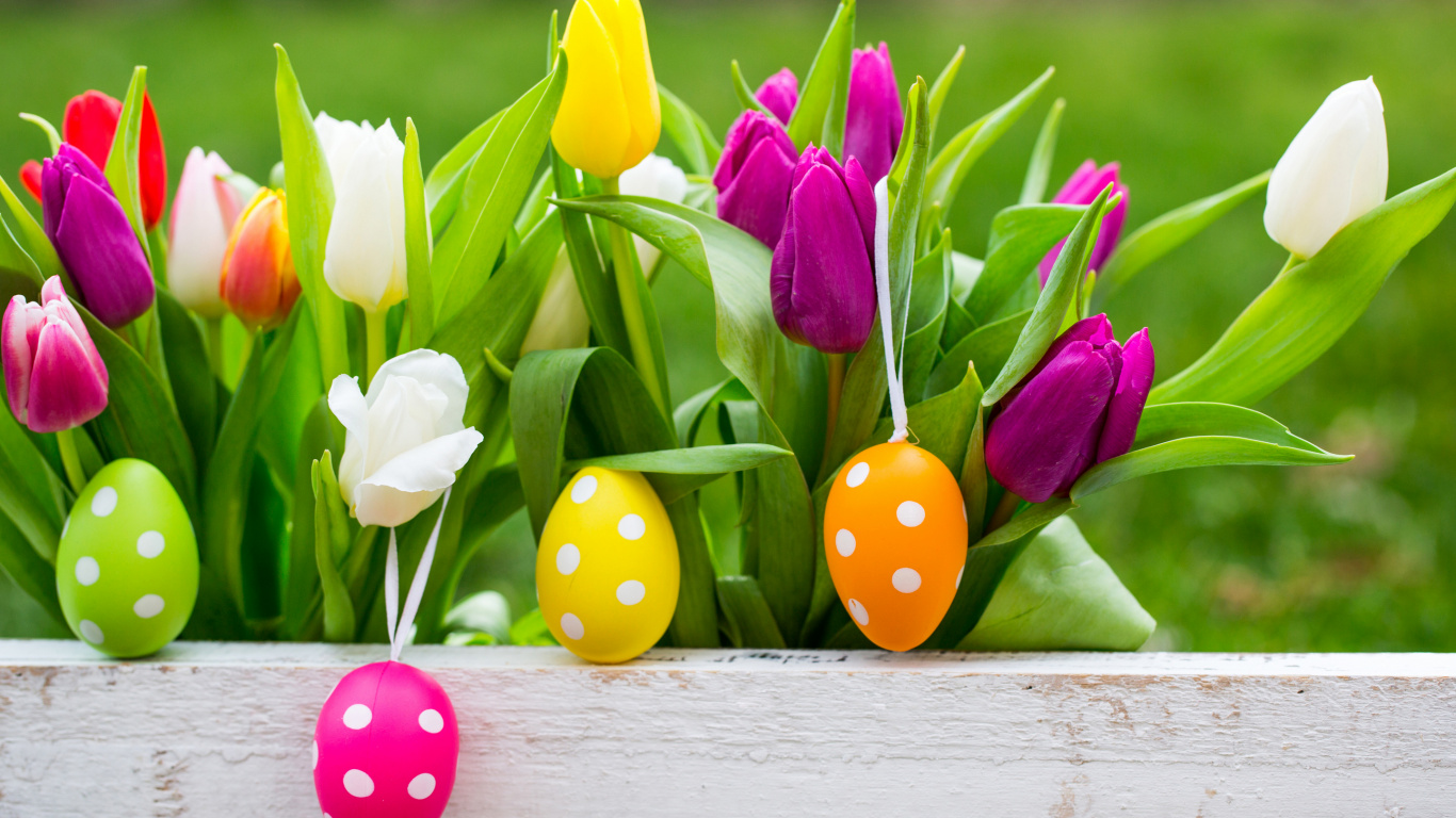 Обои пасхальный кролик, пасхальное яйцо, тюльпаны, праздник, цветок в разрешении 1366x768