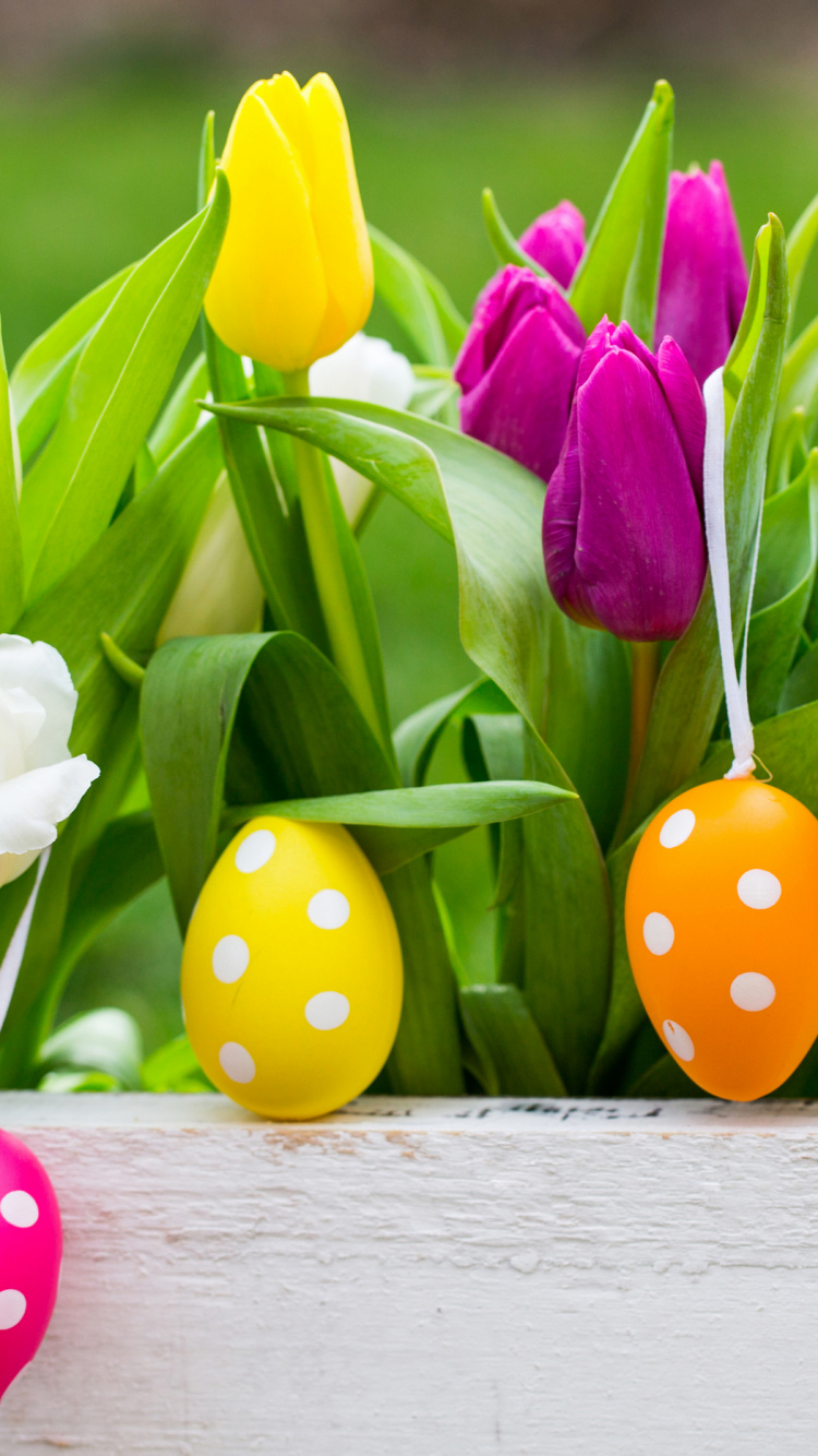 Обои пасхальный кролик, пасхальное яйцо, тюльпаны, праздник, цветок в разрешении 750x1334