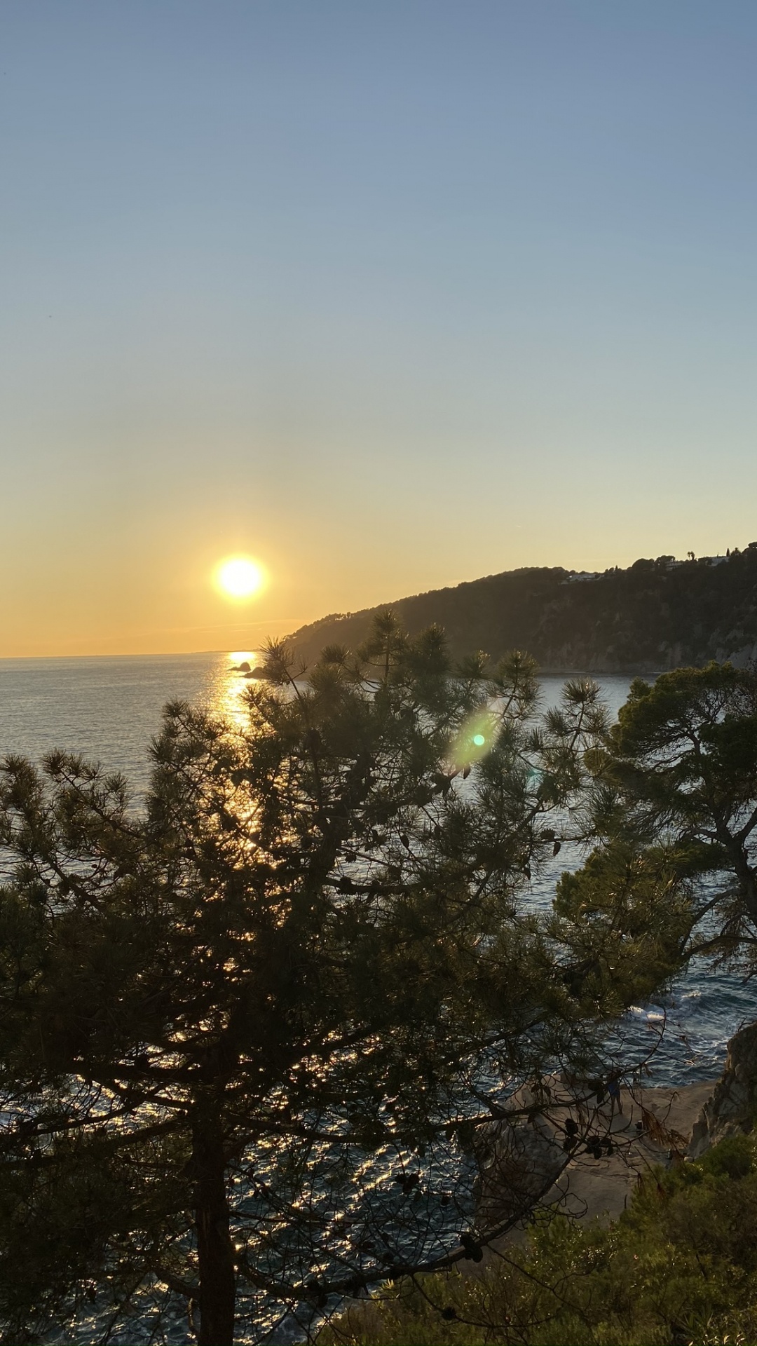 Обои вода, восход солнца, растительность, солнце, закат в разрешении 1080x1920