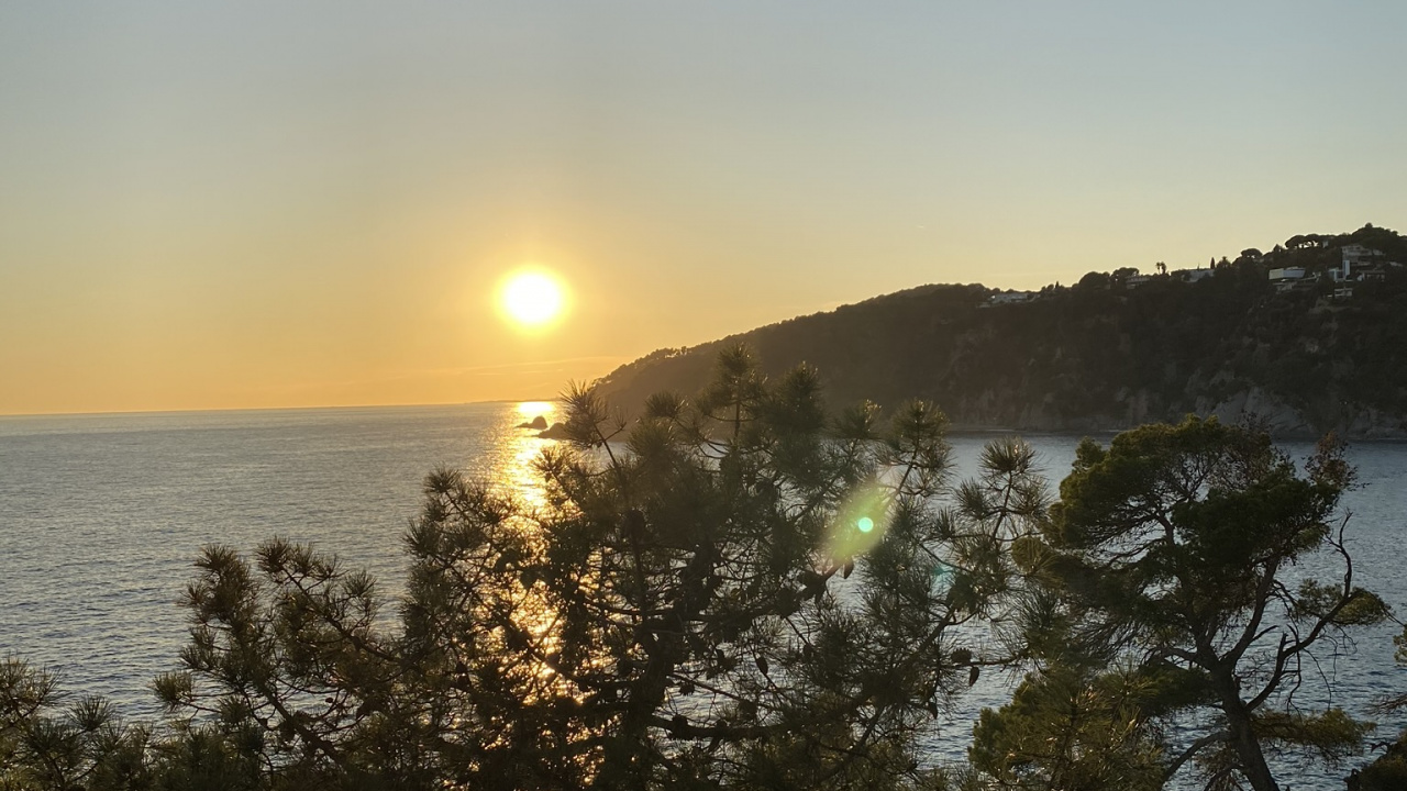 Обои вода, восход солнца, растительность, солнце, закат в разрешении 1280x720