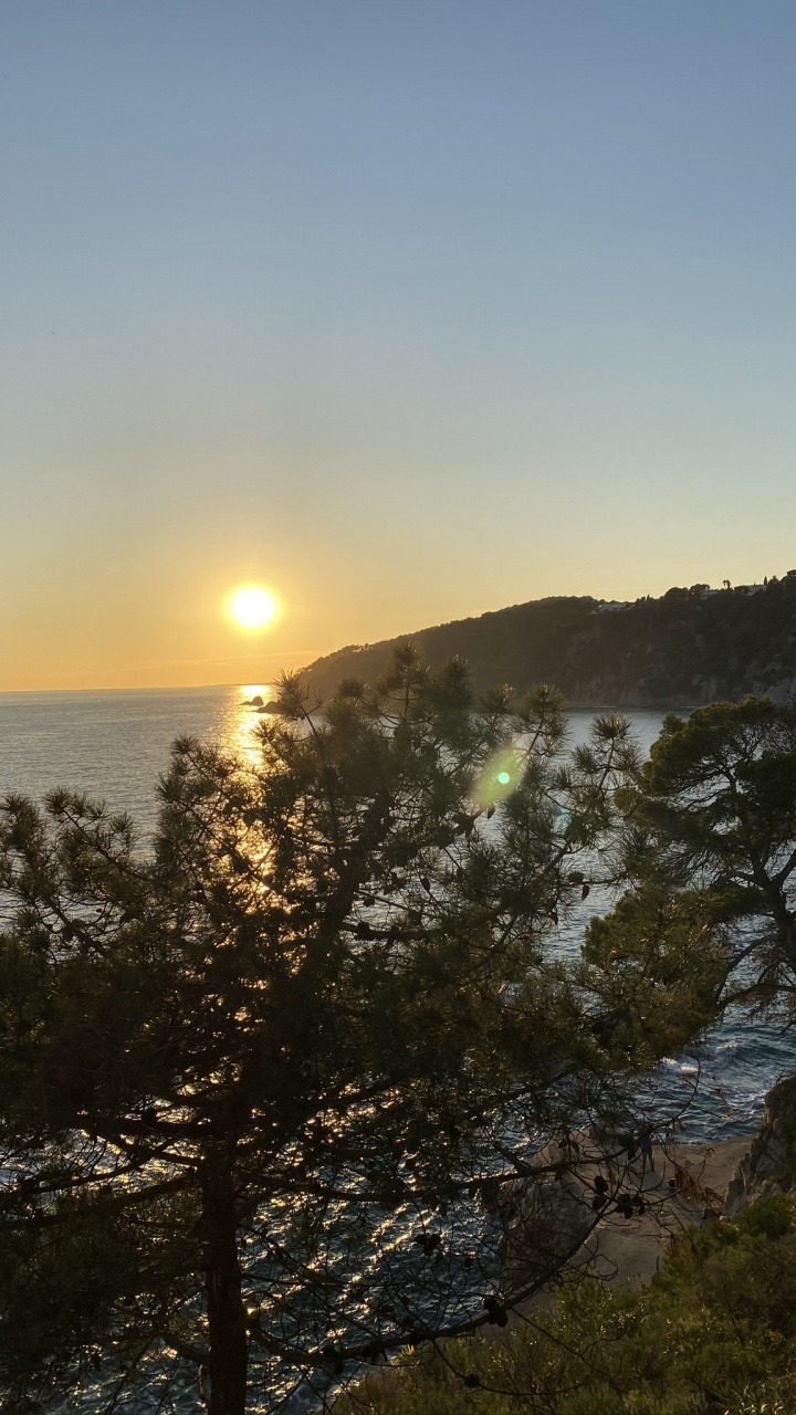 Обои вода, восход солнца, растительность, солнце, закат в разрешении 720x1280