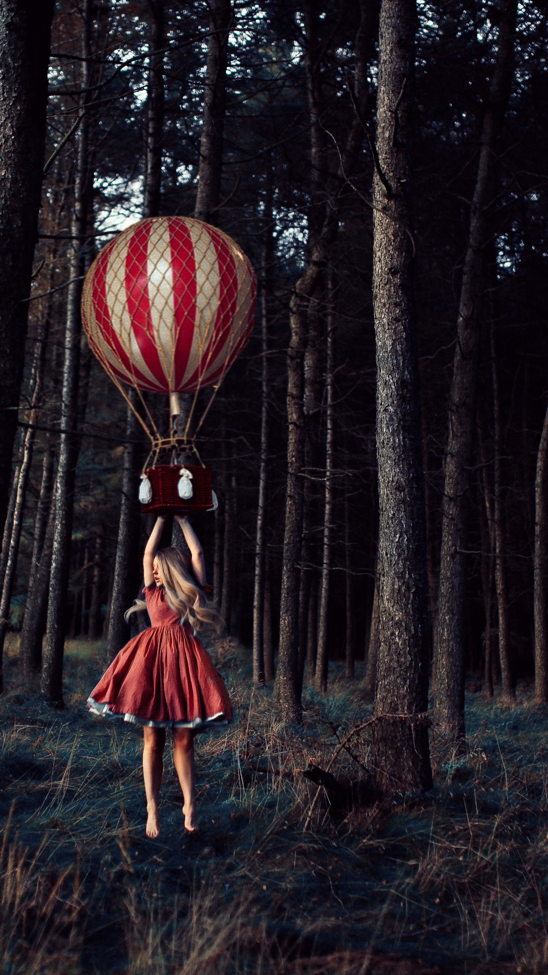 Обои природа, растение, экорегион, воздушный шар, Люди в природе в разрешении 1080x1920