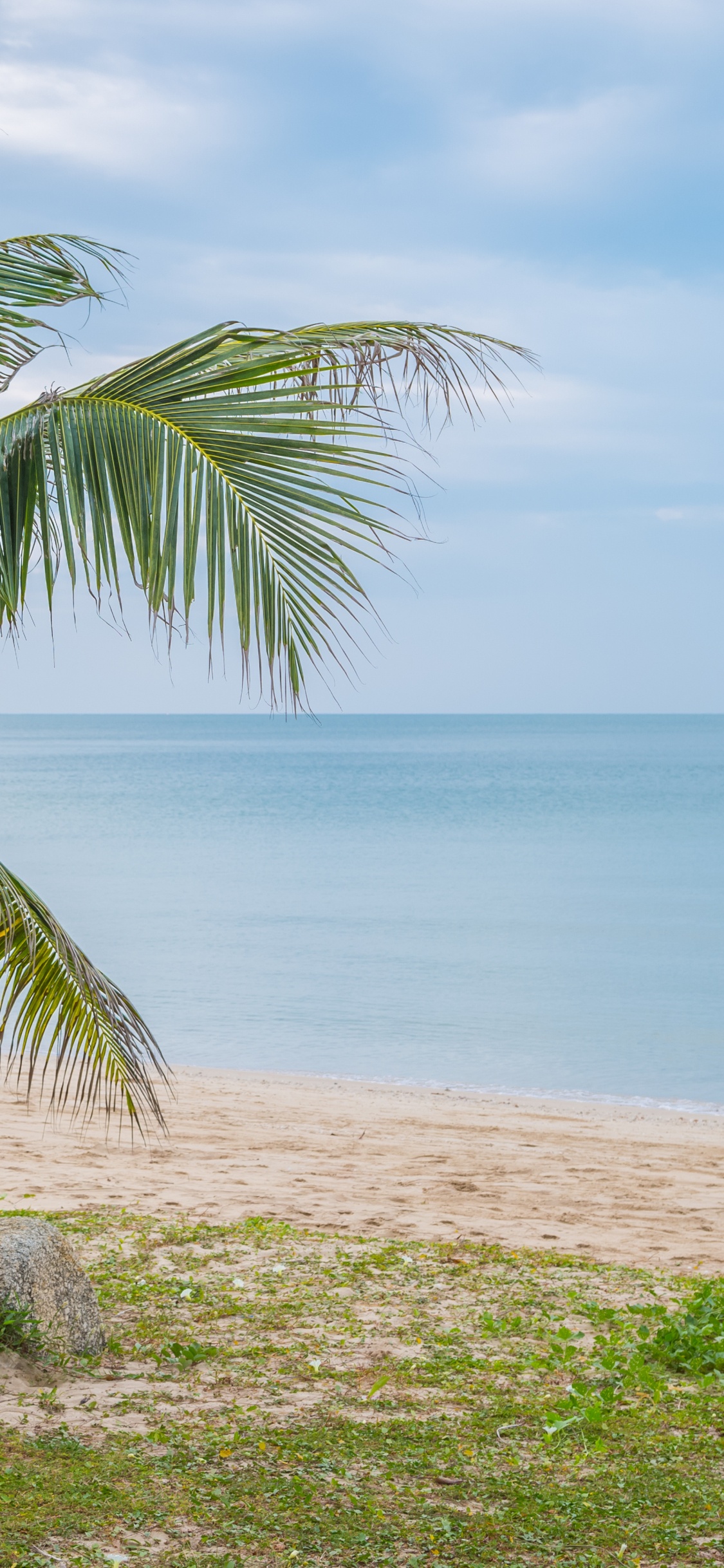 Обои море, пляж, вода, облако, растение в разрешении 1125x2436