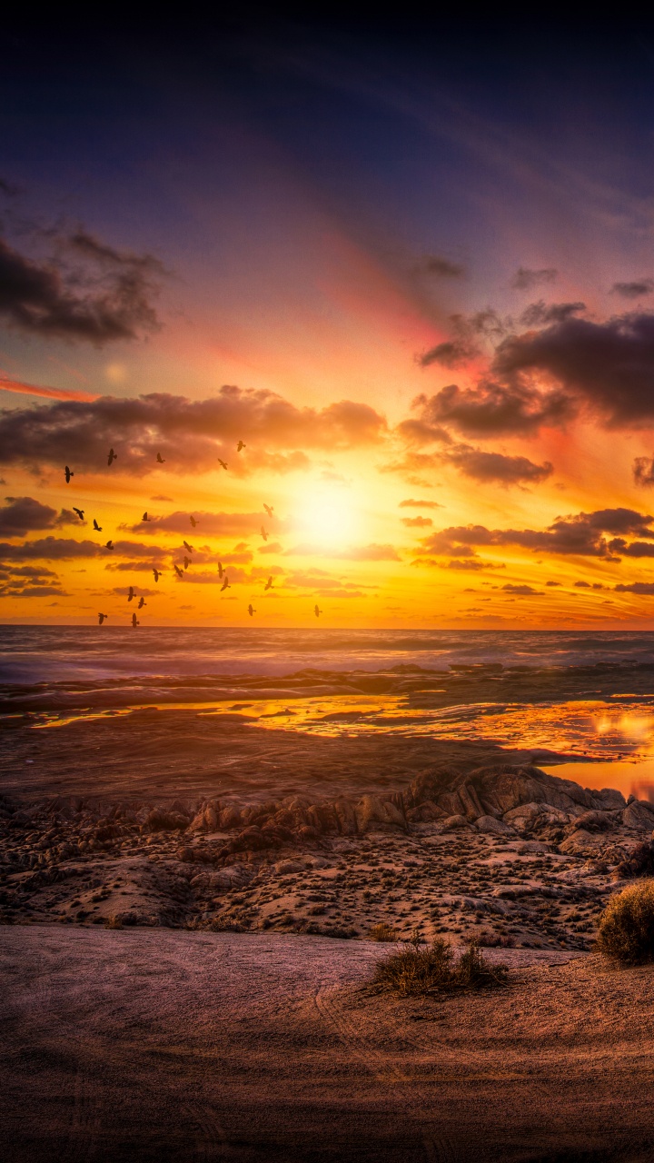 Обои закат, горизонт, послесвечение, восход солнца, море в разрешении 720x1280