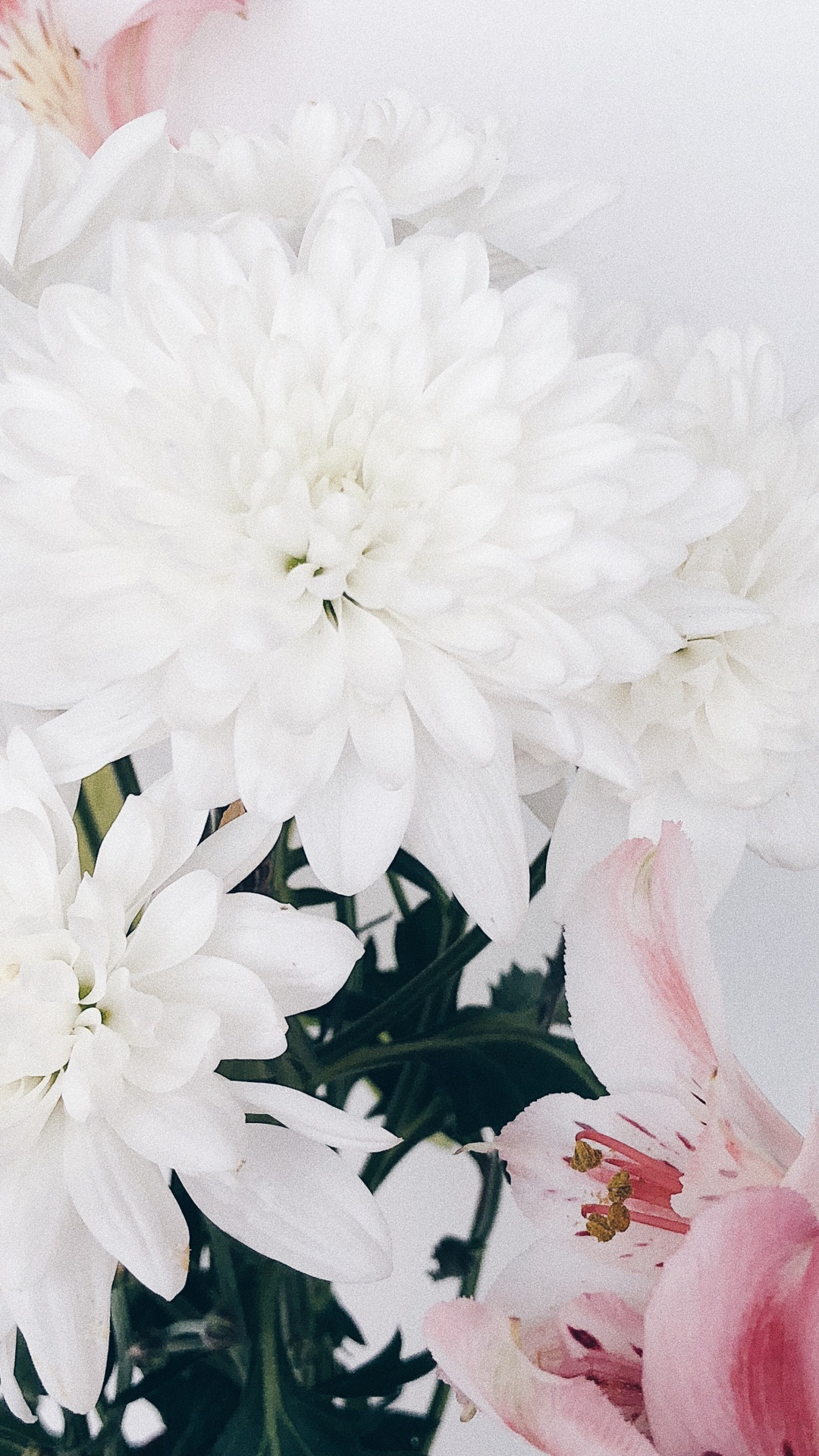 Обои срезанные цветы, цветочный дизайн, цветок, цветковое растение, цветочный букет в разрешении 1080x1920