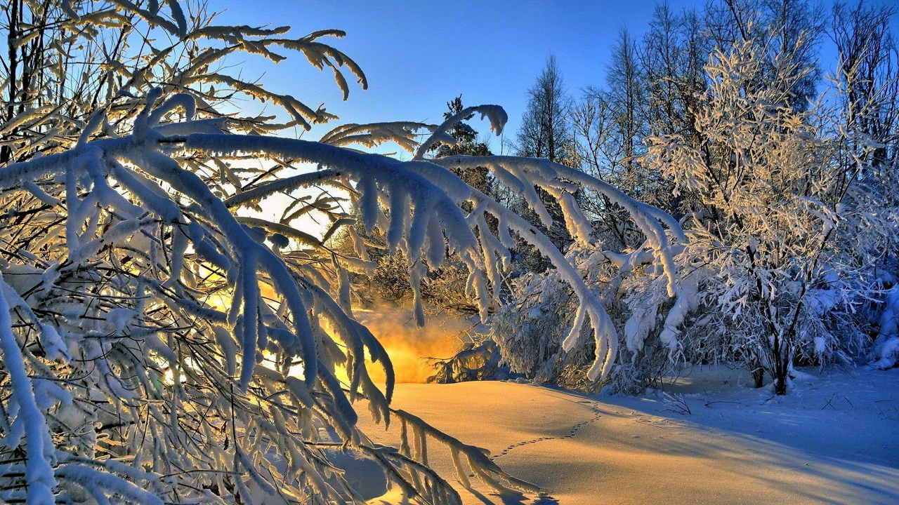 Обои снег, солнечный свет, облако, закат, зима в разрешении 1280x720