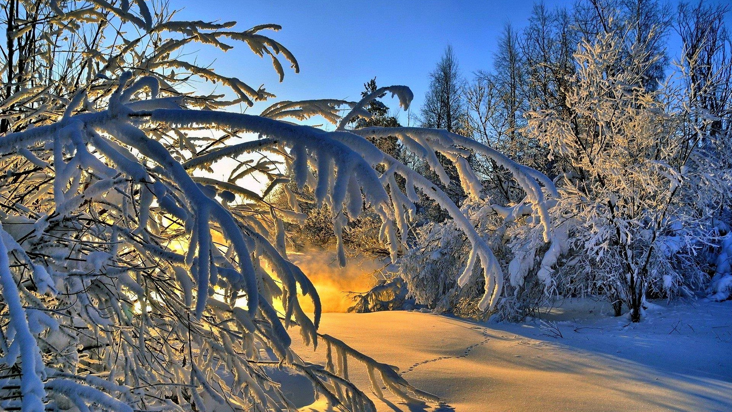 Обои снег, солнечный свет, облако, закат, зима в разрешении 2560x1440