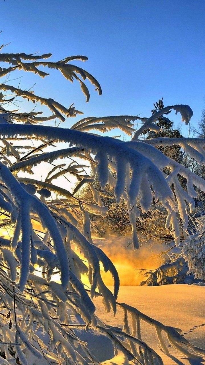 Обои снег, солнечный свет, облако, закат, зима в разрешении 720x1280