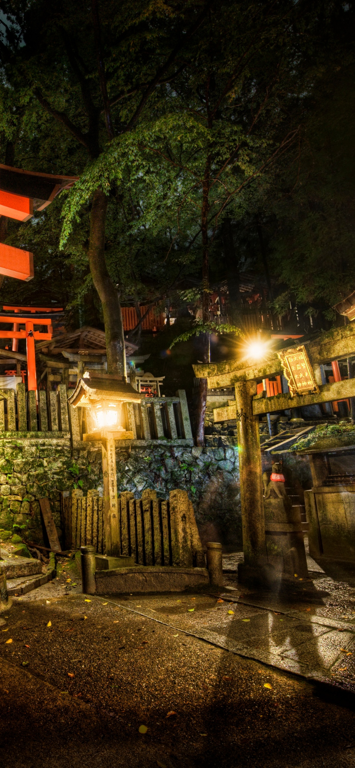 Обои Япония, храм, святыня, ночь, дерево в разрешении 1242x2688