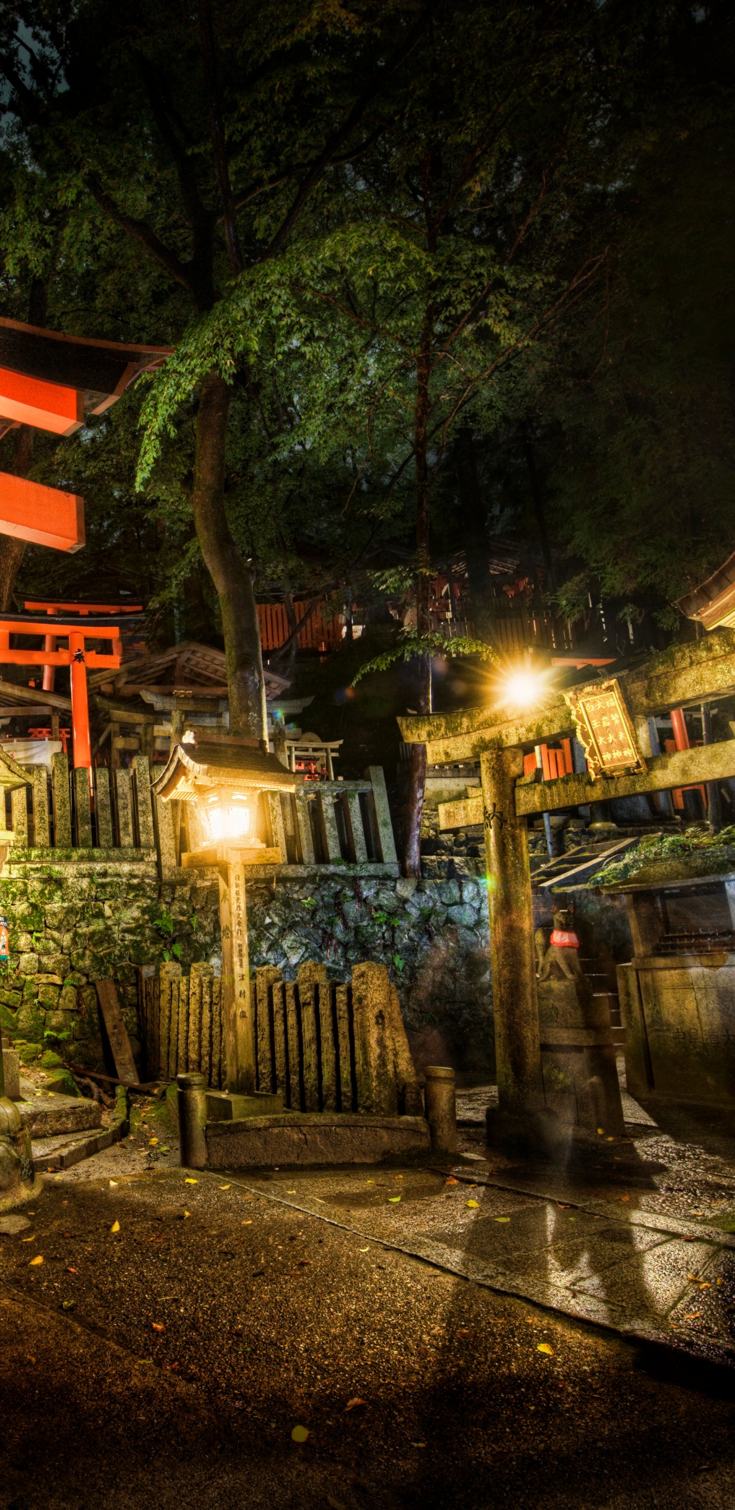 Обои Япония, храм, святыня, ночь, дерево в разрешении 1440x2960