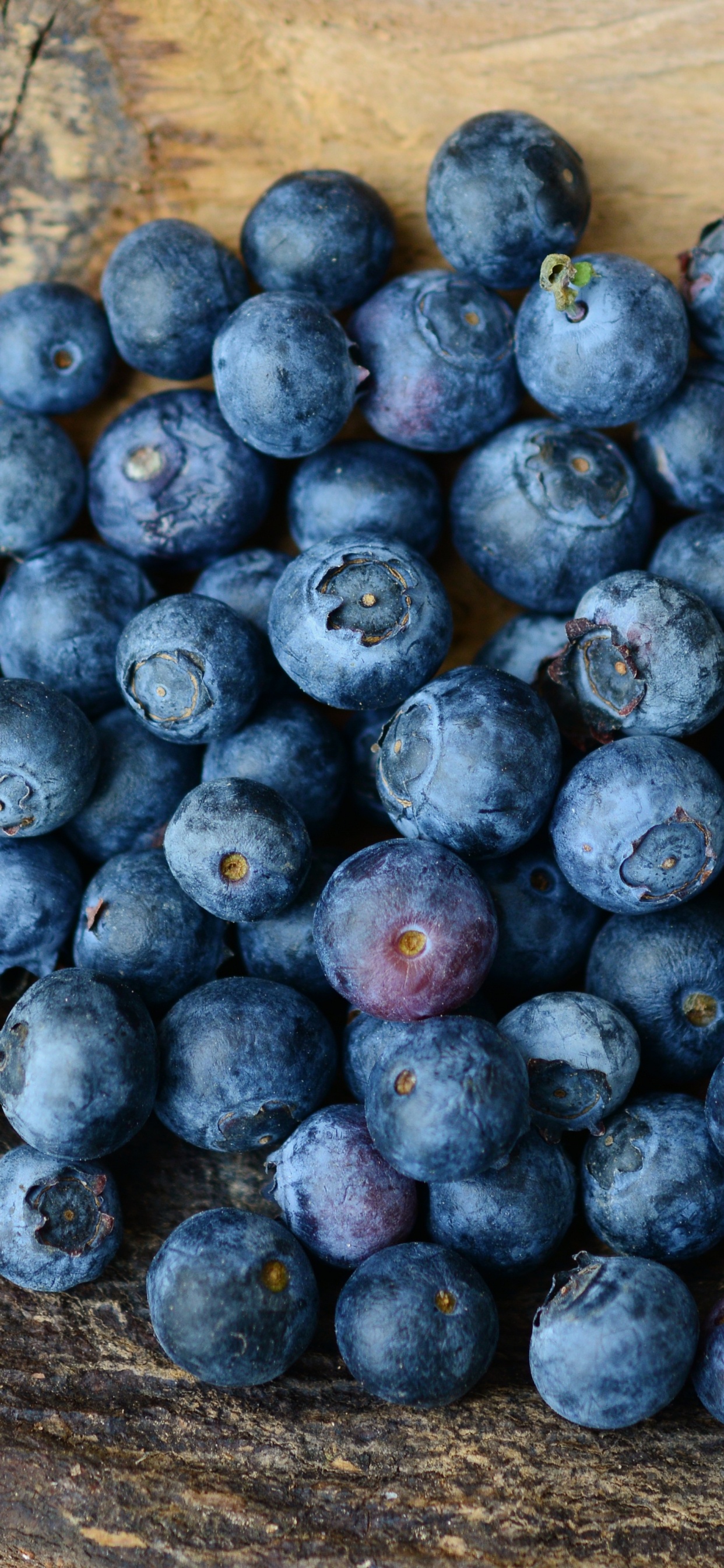 Обои Черника, ягоды, фрукты, суперфуд, ягода можжевельника в разрешении 1242x2688