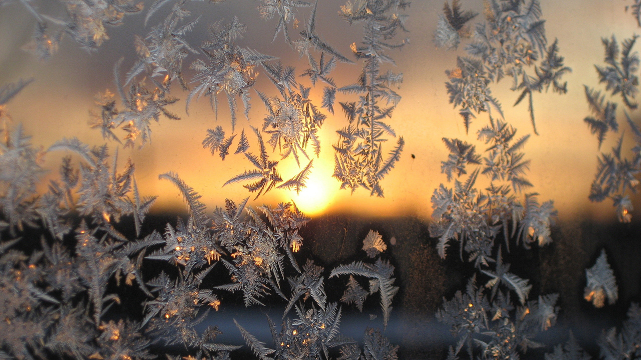 Обои зима, снег, мороз, солнечный свет, утро в разрешении 1280x720