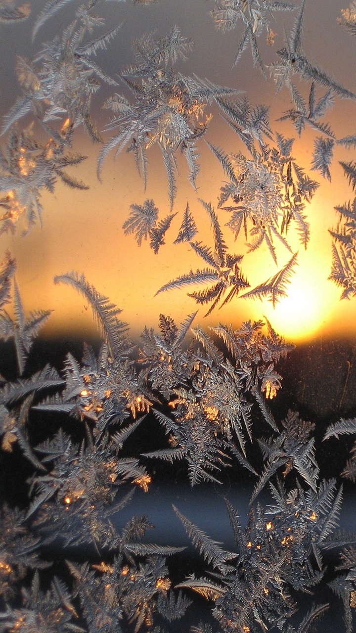 Обои зима, снег, мороз, солнечный свет, утро в разрешении 720x1280