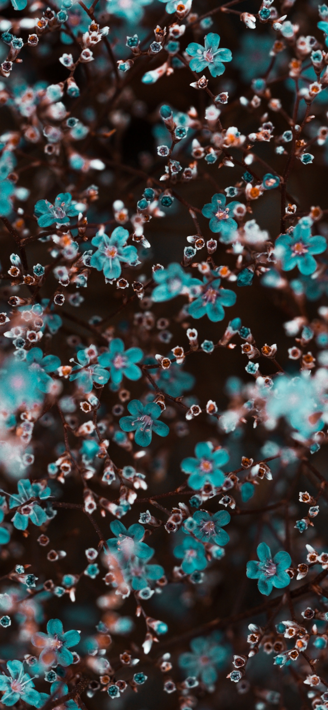 Обои синий, бирюза, узор, модный аксессуар, рисование в разрешении 1125x2436