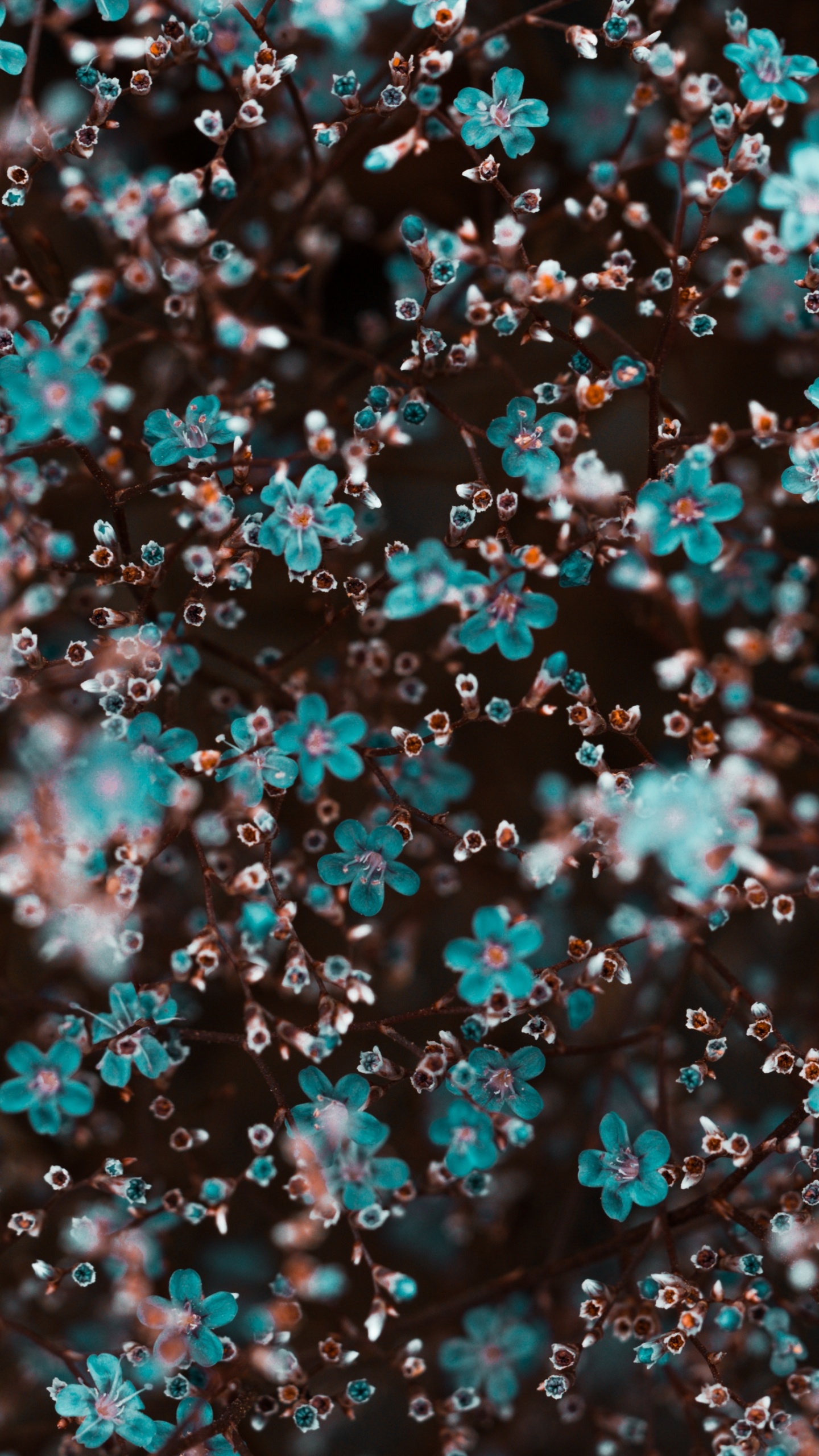 Обои синий, бирюза, узор, модный аксессуар, рисование в разрешении 1440x2560