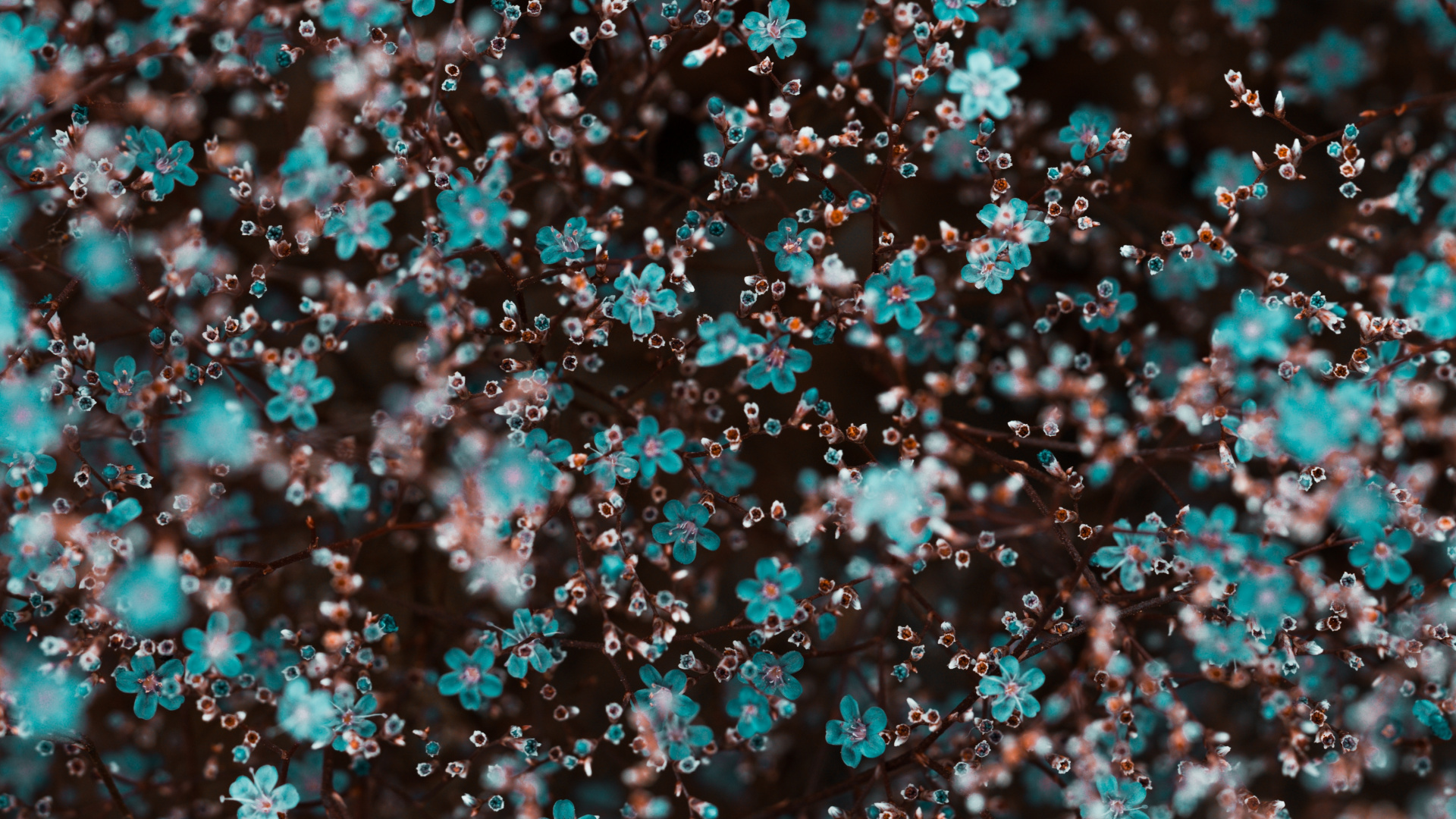 Обои синий, бирюза, узор, модный аксессуар, рисование в разрешении 1920x1080