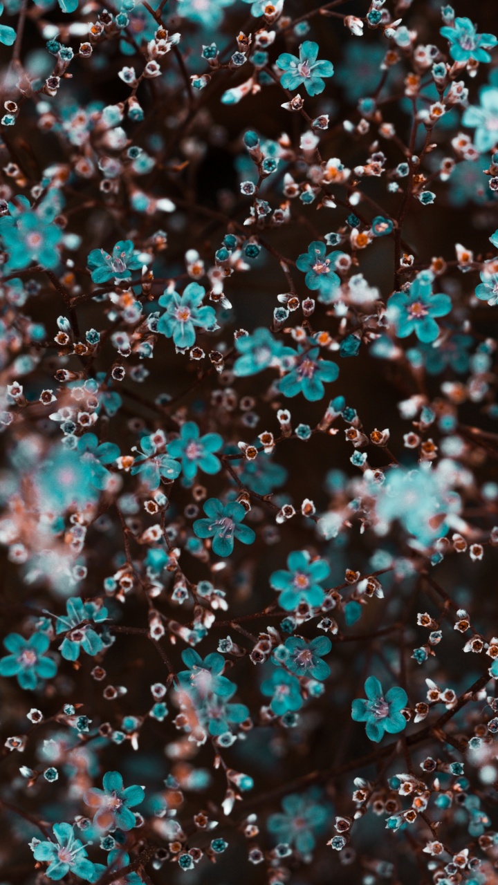 Обои синий, бирюза, узор, модный аксессуар, рисование в разрешении 720x1280