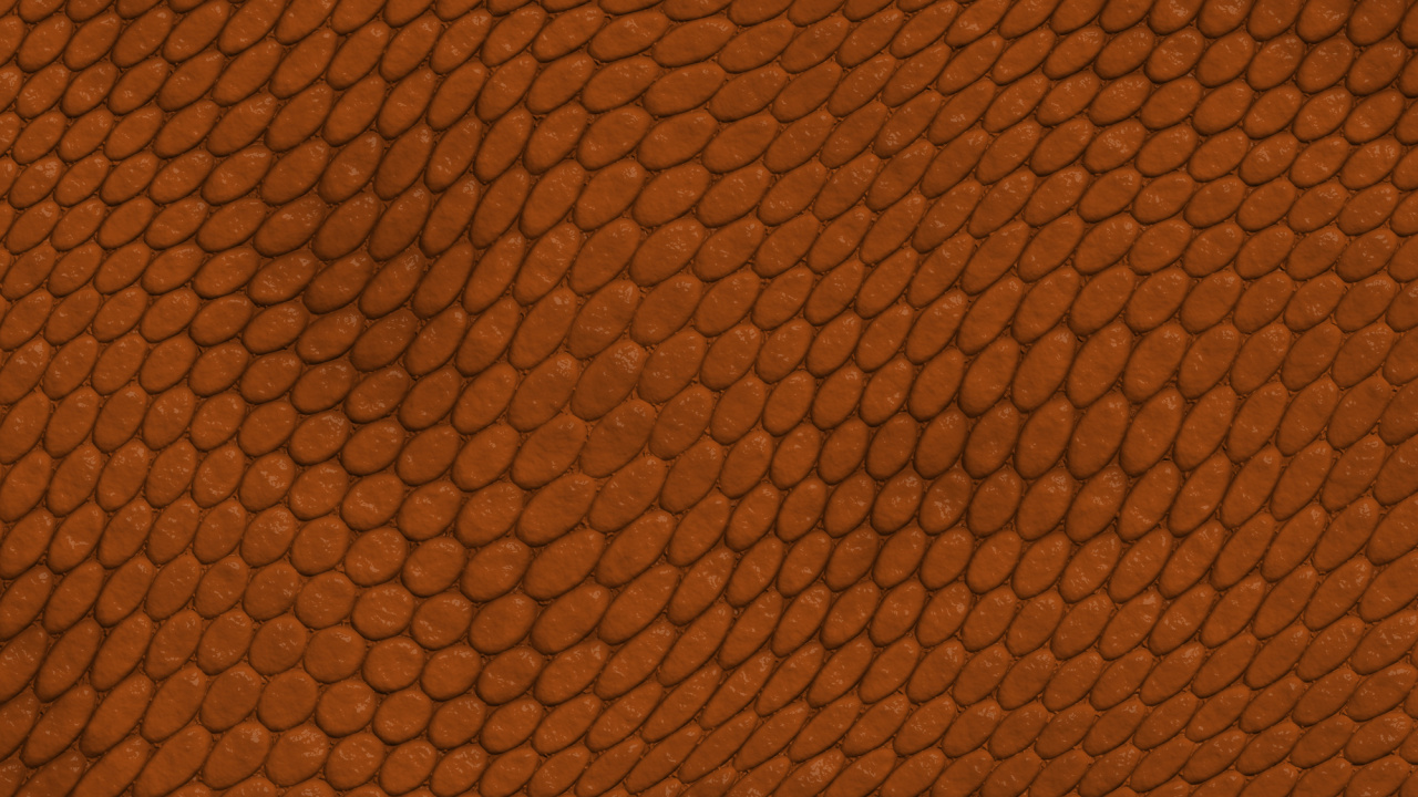 Обои Апельсин, коричневый цвет, узор, морилка, Киев в разрешении 1280x720