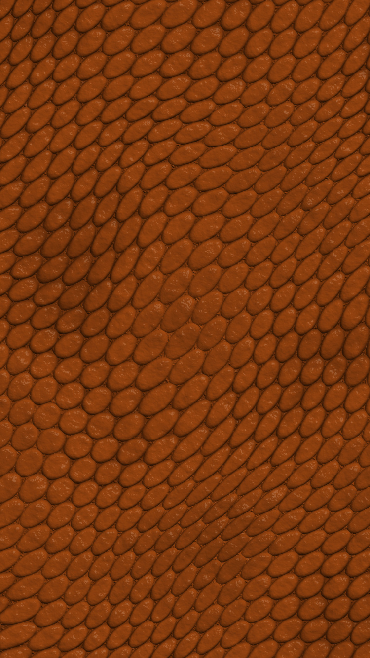 Обои Апельсин, коричневый цвет, узор, морилка, Киев в разрешении 750x1334