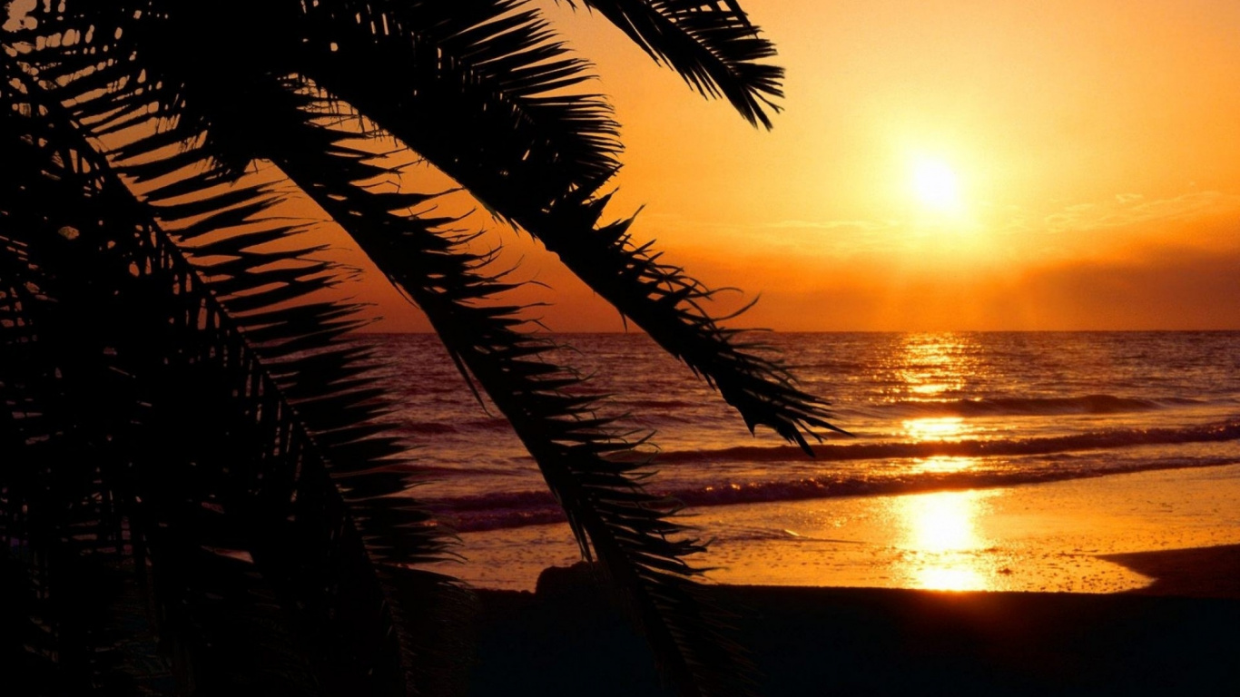 Обои Палм-Бич, МайамиБич, Вилла На Мадейре, сезонная аренда, пляж в разрешении 1366x768