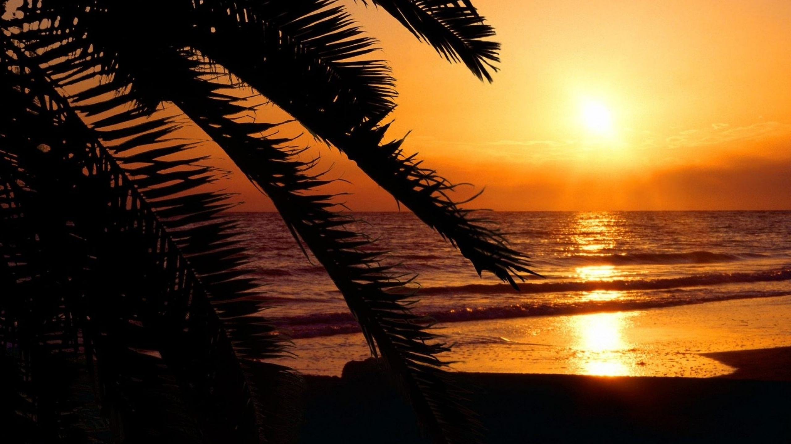 Обои Палм-Бич, МайамиБич, Вилла На Мадейре, сезонная аренда, пляж в разрешении 2560x1440