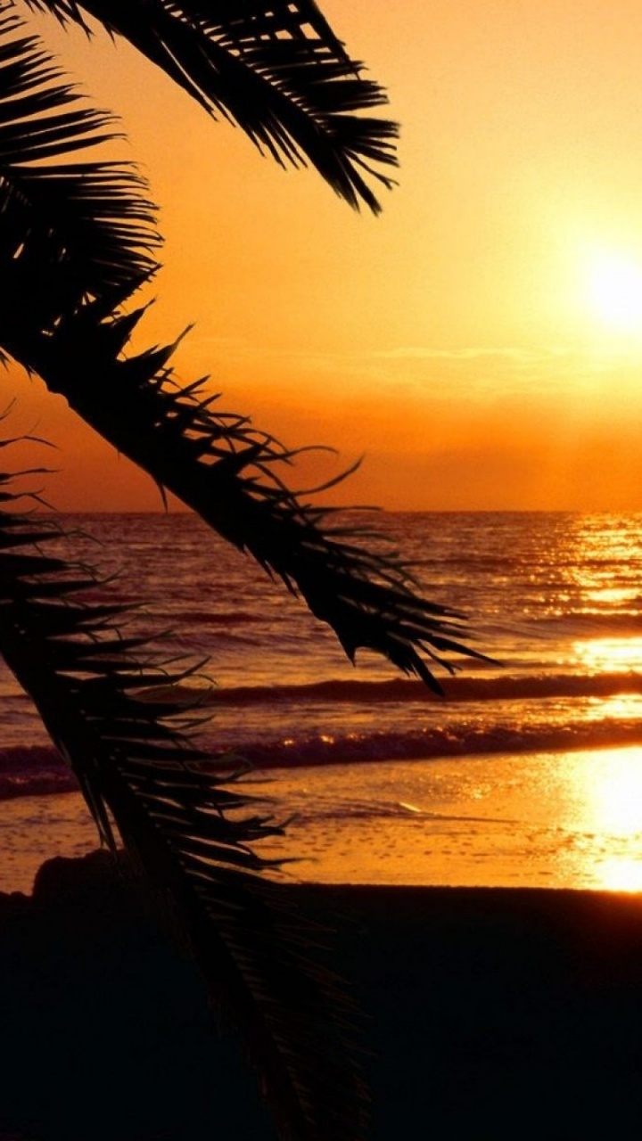 Обои Палм-Бич, МайамиБич, Вилла На Мадейре, сезонная аренда, пляж в разрешении 720x1280