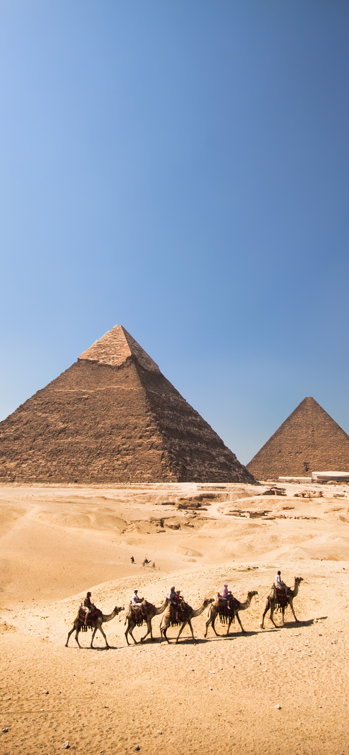 Обои пирамиды Гизы портрет, Великий Сфинкс Гизы, Каир, пирамида, египетская пирамида в разрешении 1125x2436