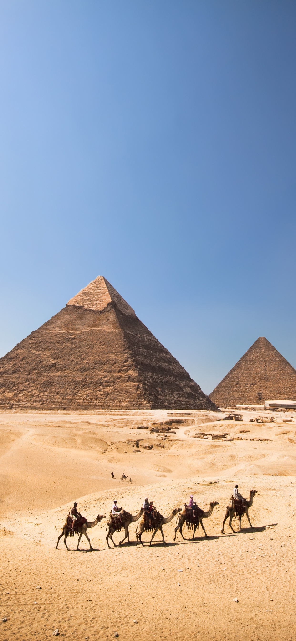 Обои пирамиды Гизы портрет, Великий Сфинкс Гизы, Каир, пирамида, египетская пирамида в разрешении 1242x2688