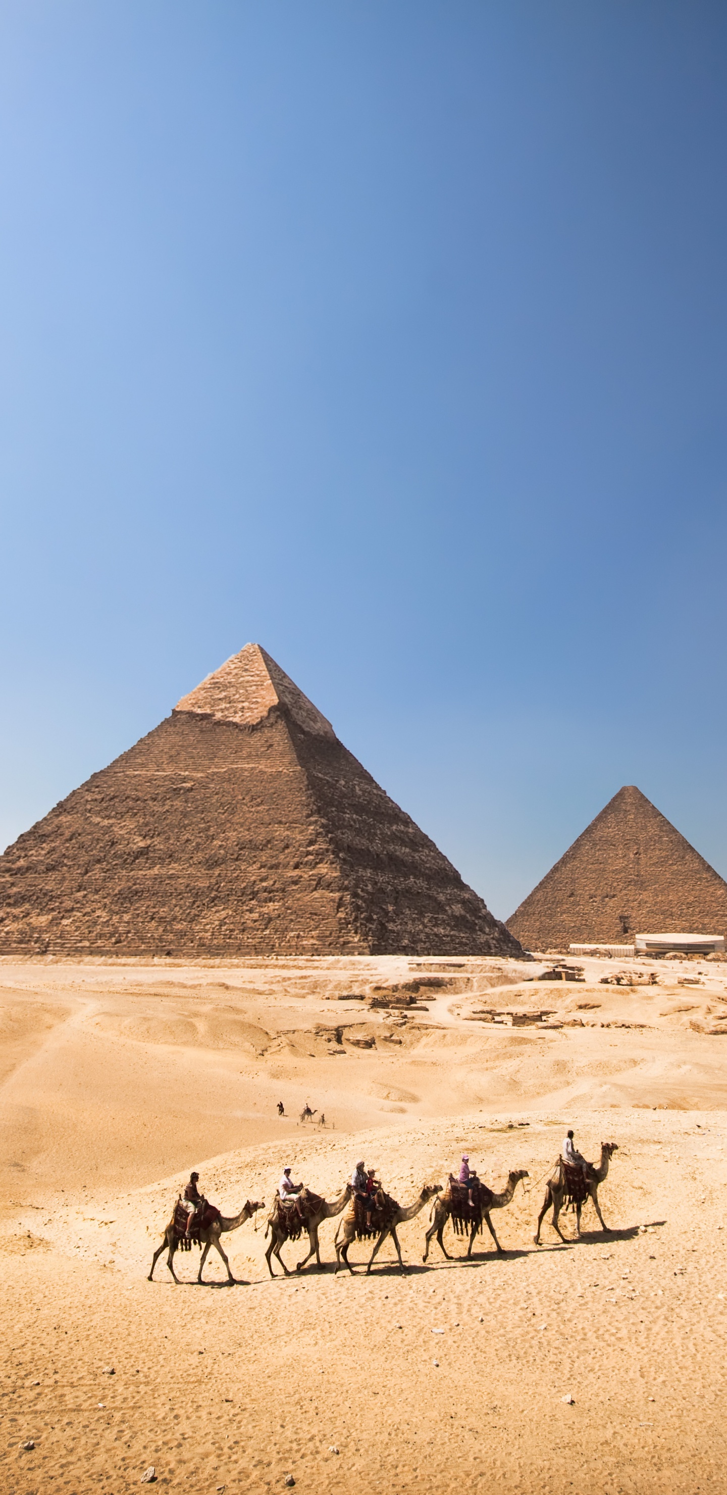 Обои пирамиды Гизы портрет, Великий Сфинкс Гизы, Каир, пирамида, египетская пирамида в разрешении 1440x2960